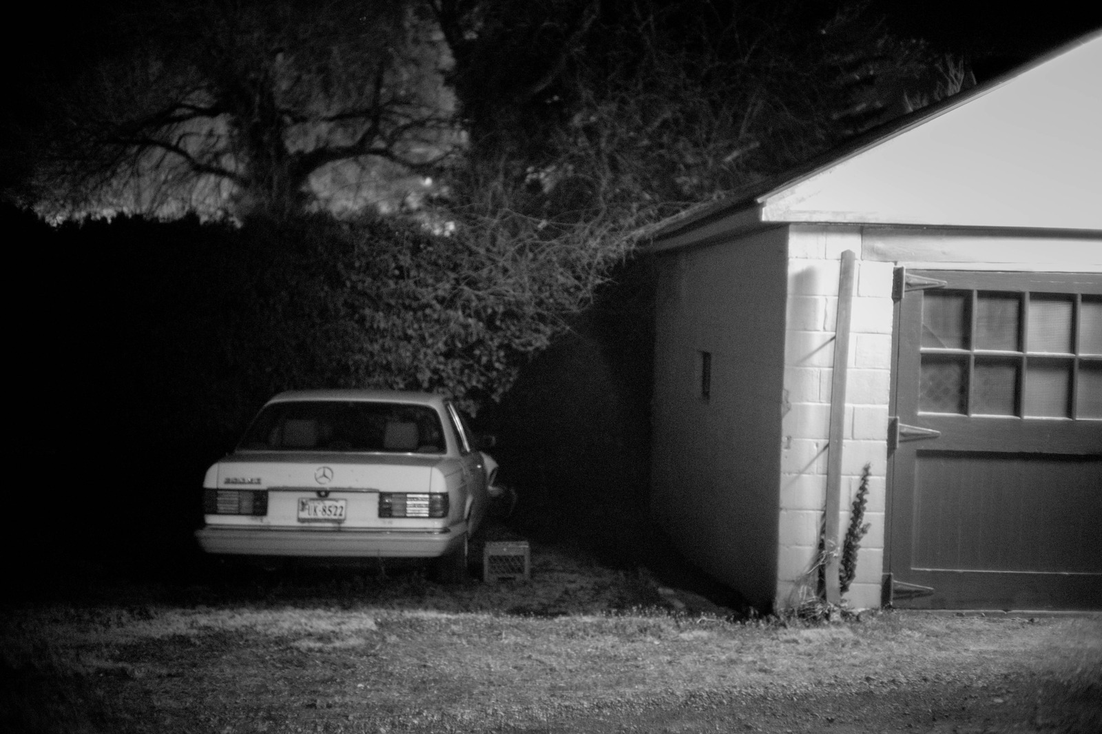 Quiet Night in the Shadows