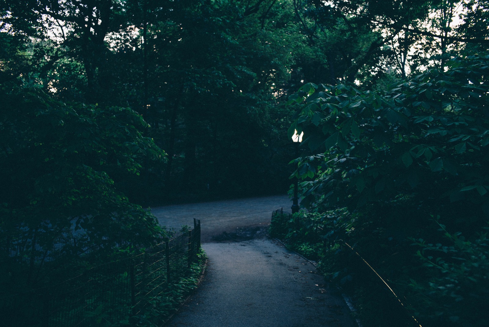 Twilight Pathway