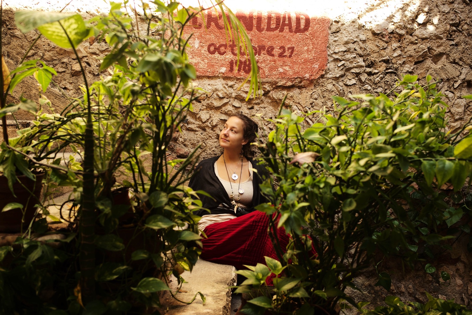 Serenity Amongst Greenery