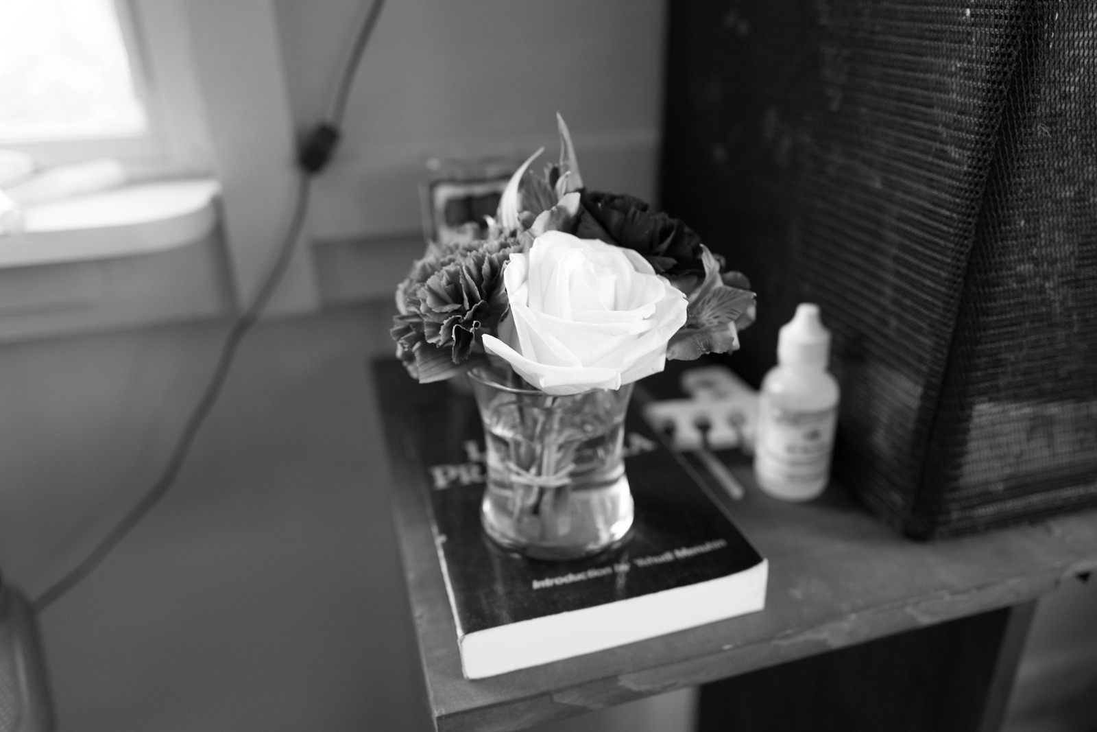 Still Life in Monochrome