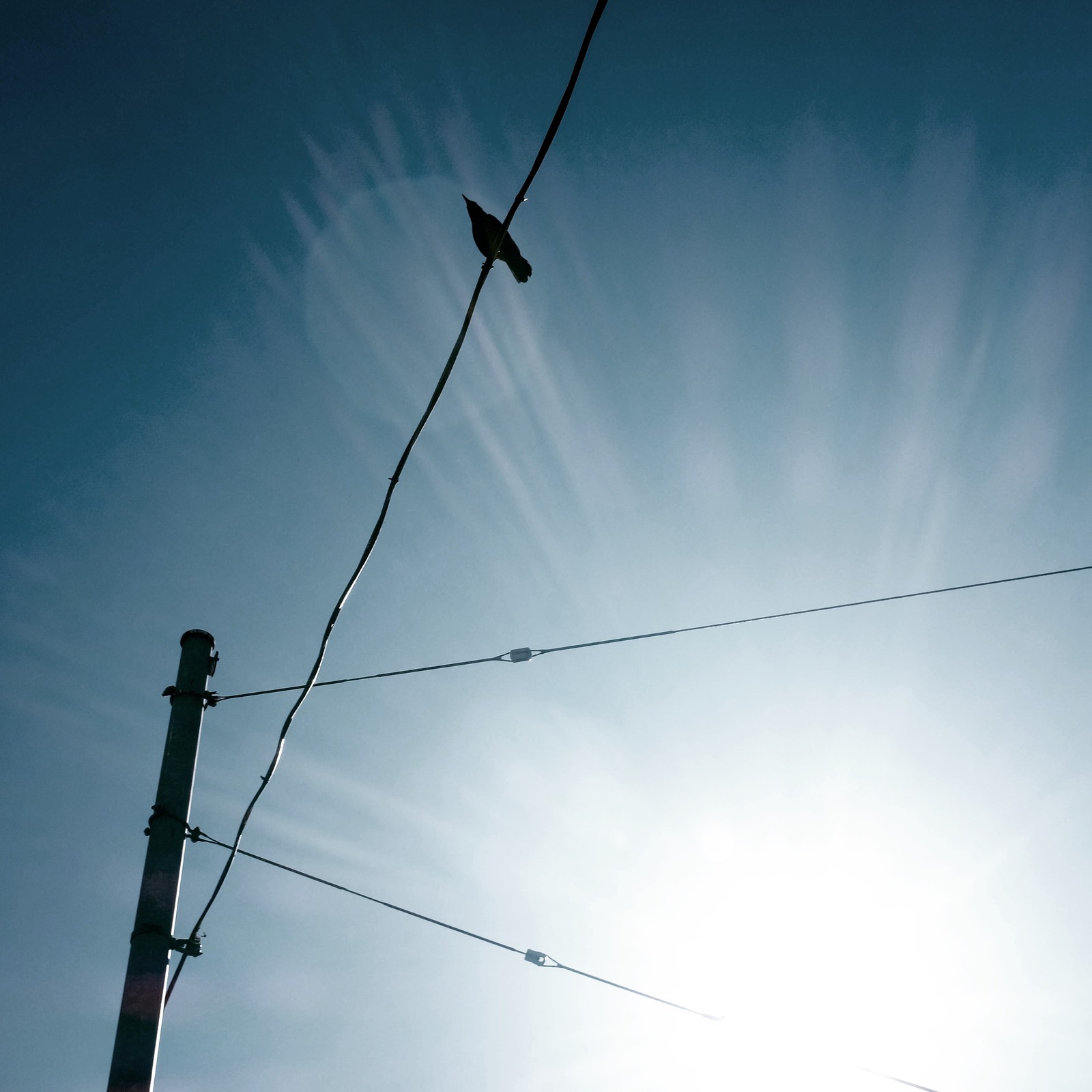 Silhouette of Solitude