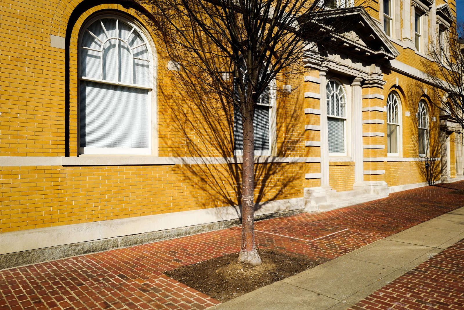 Golden Light on Brick