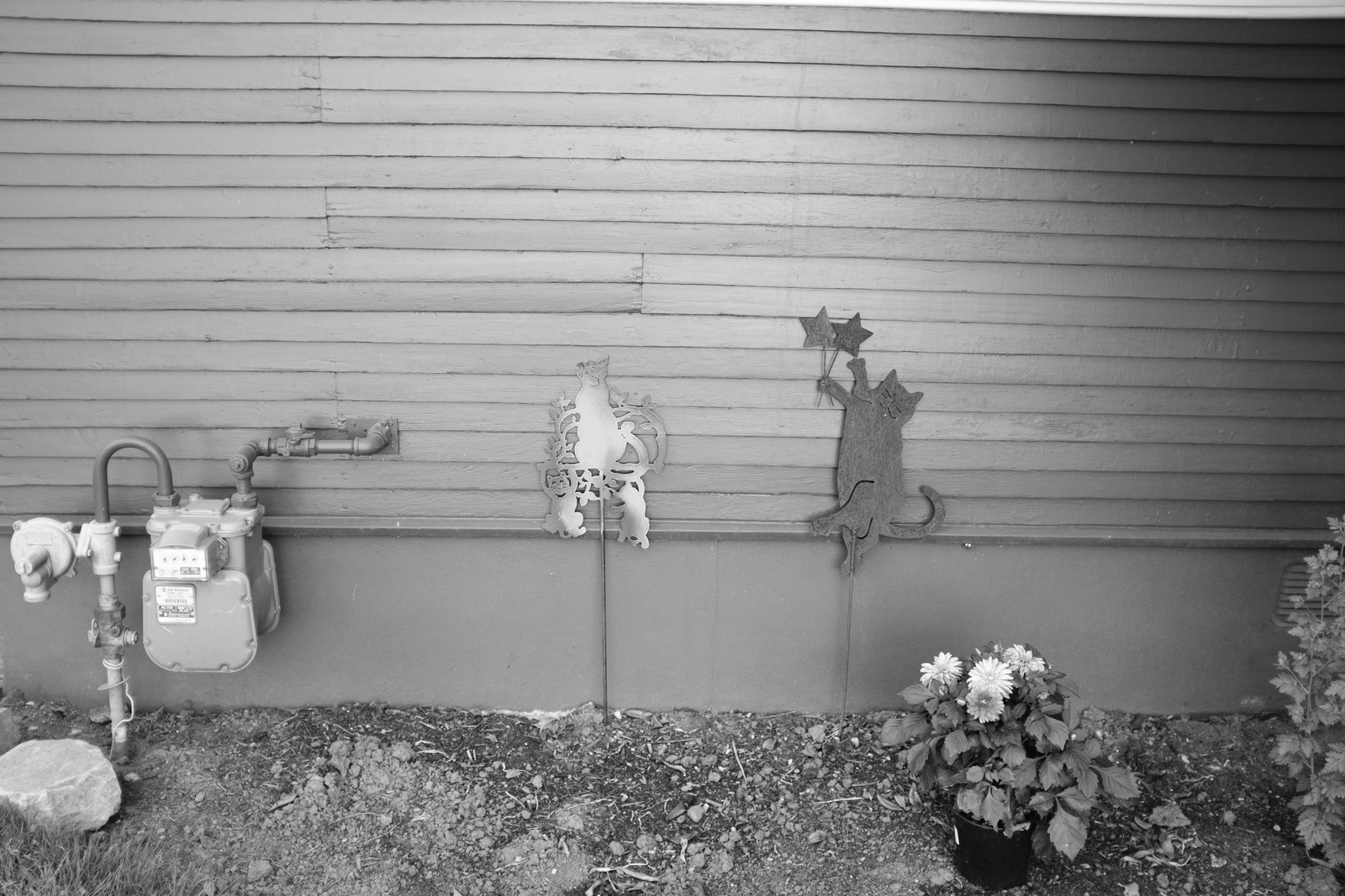 Whimsical Shadows on Wood