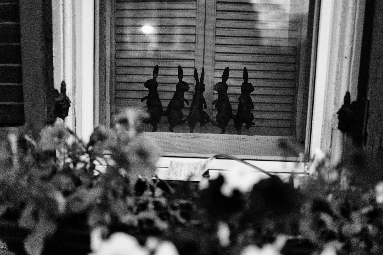 Whimsical Shadows at Dusk