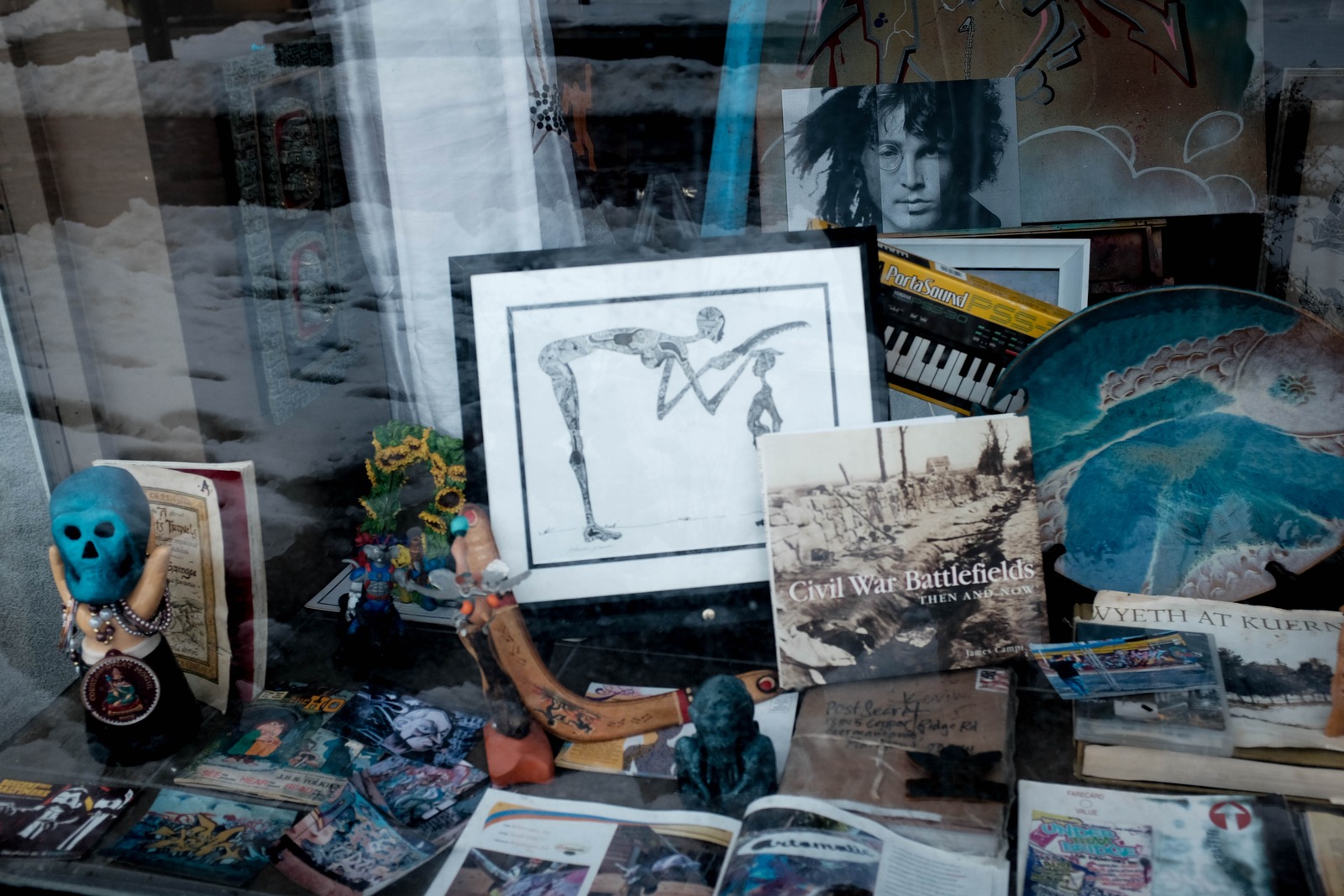 Eclectic Curiosities on Display