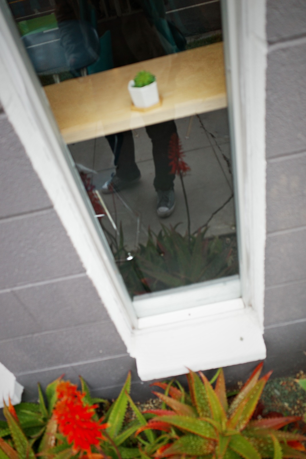 Reflections of Nature