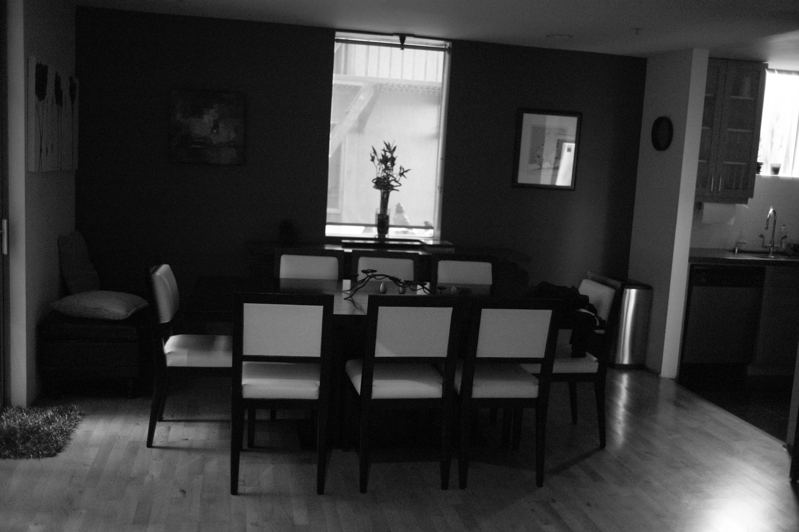 Shadows of Stillness