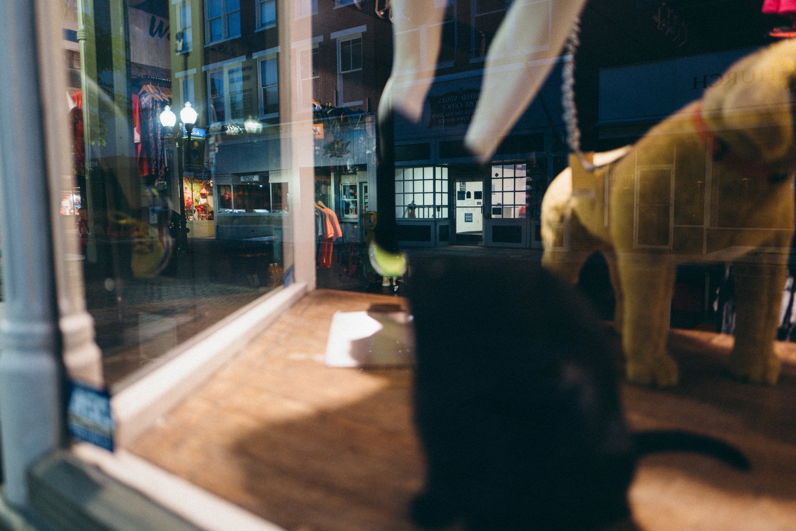 Whispers of the Night