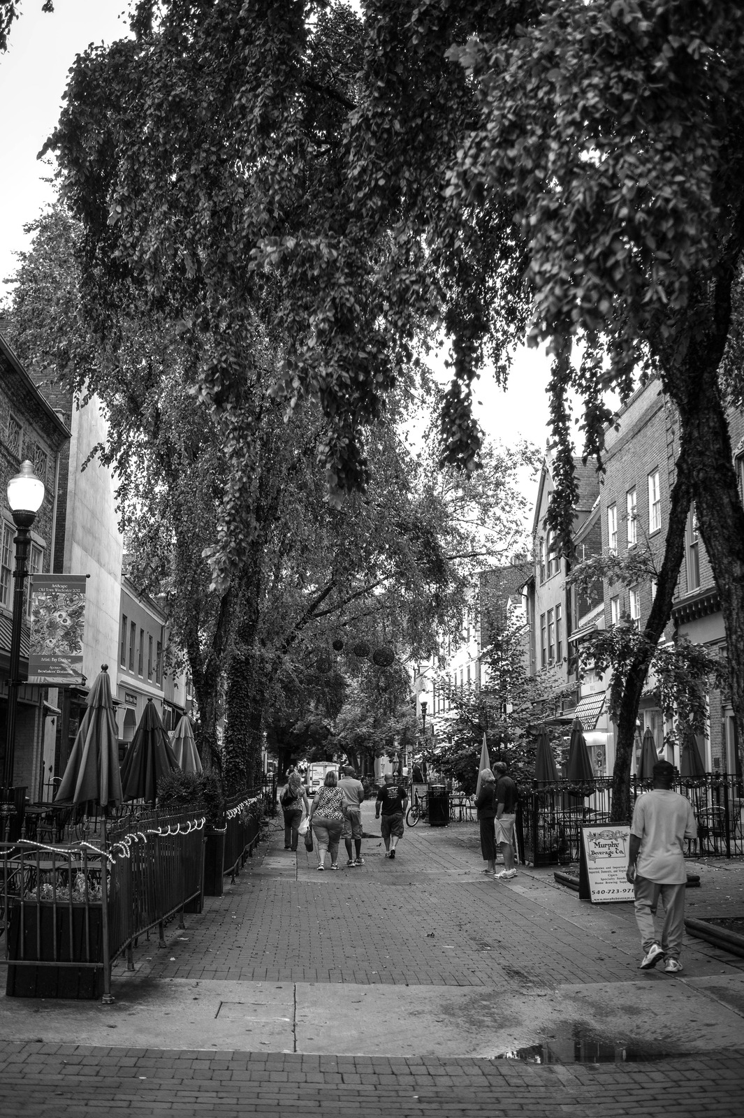 Quiet Stroll Through Time