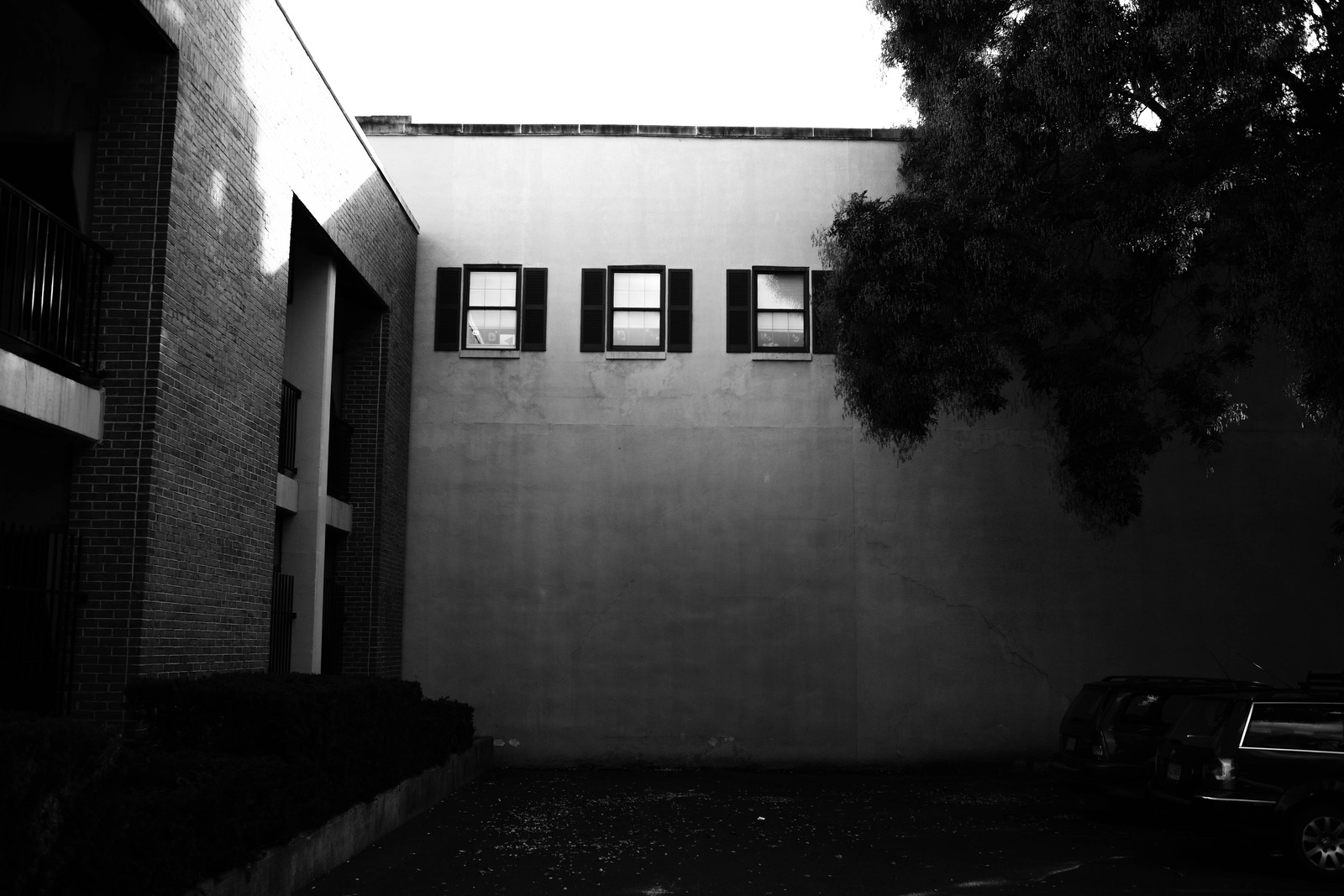 Shadows of Stillness