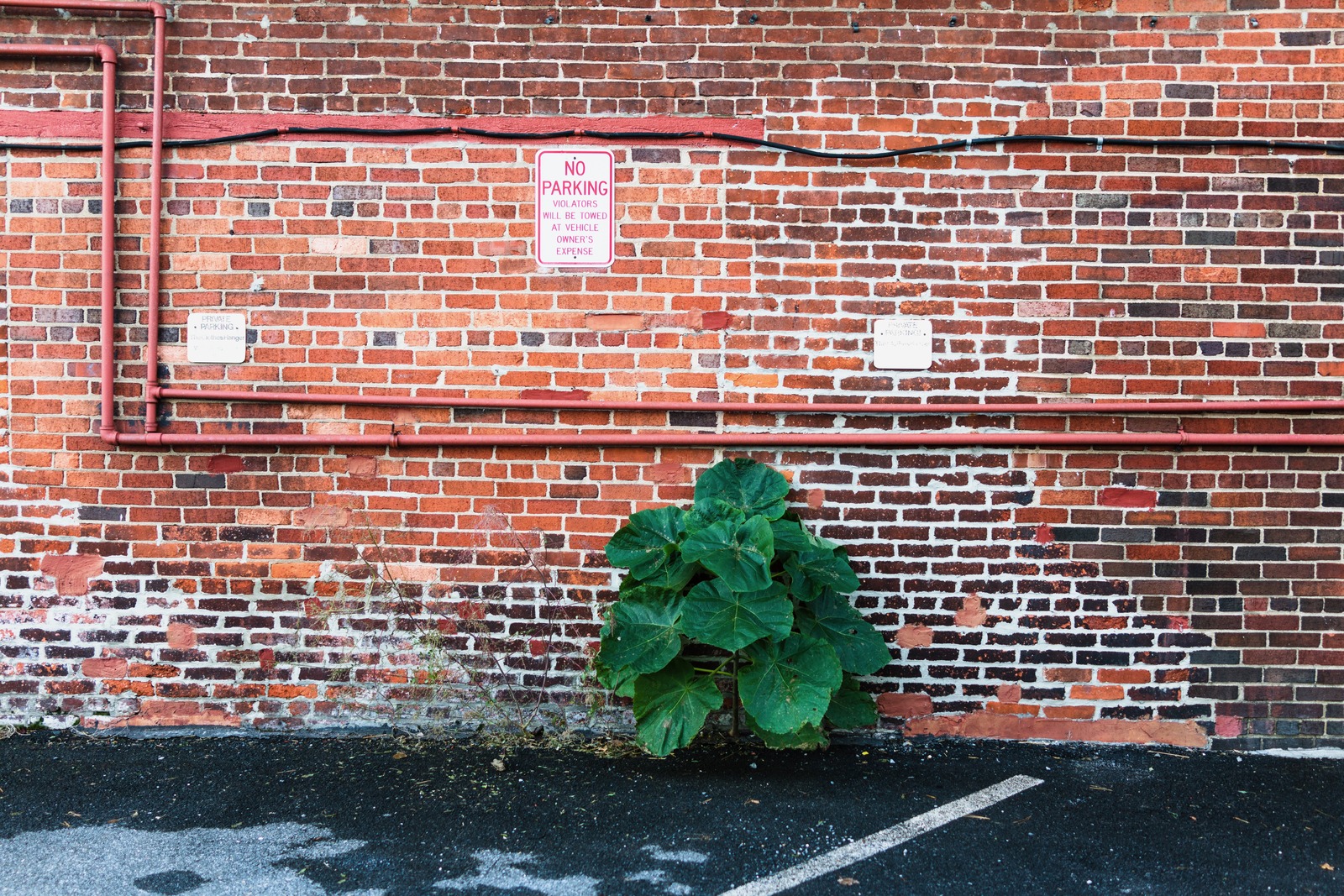 Resilience Against the Urban Wall