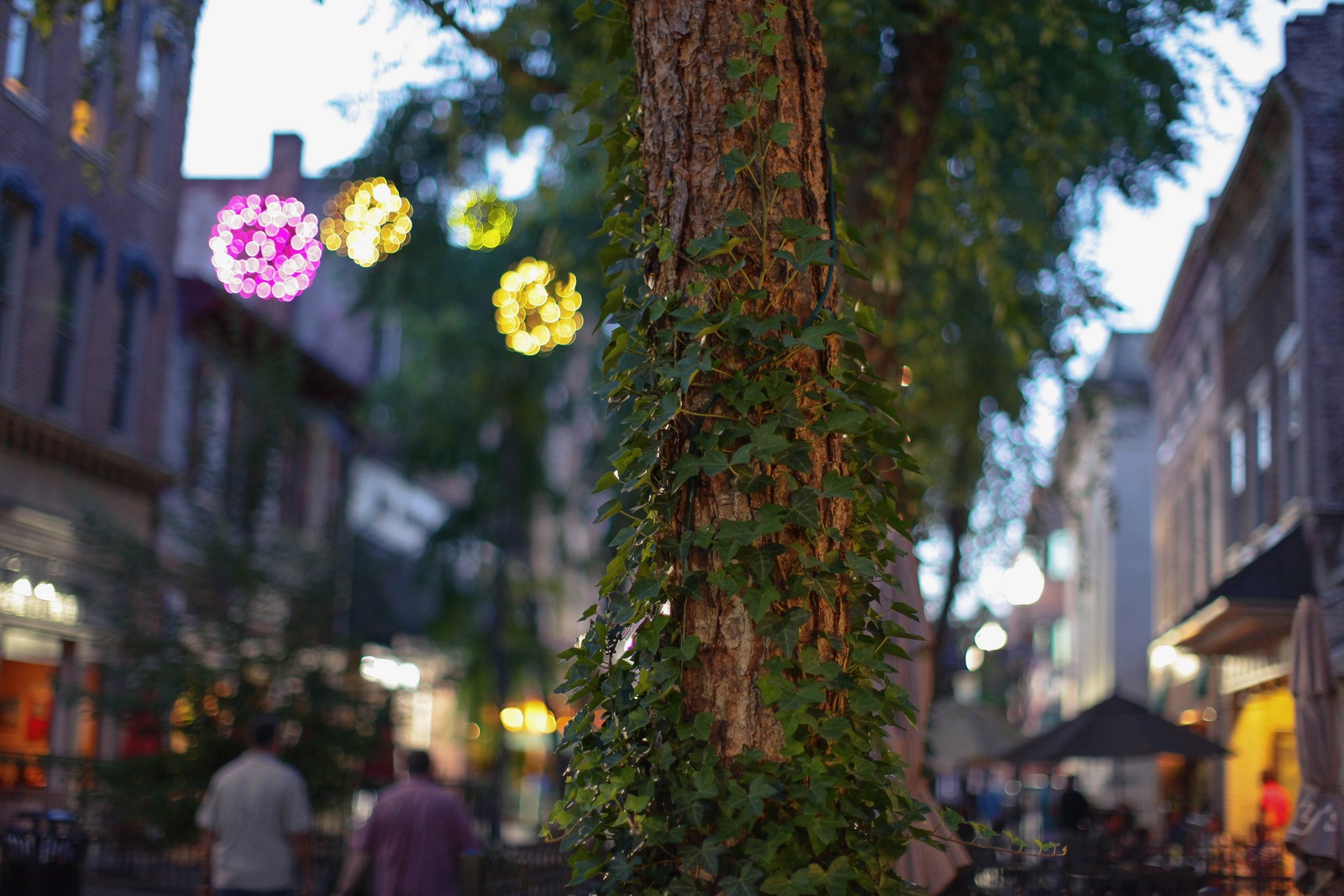 Evening Glow in the City