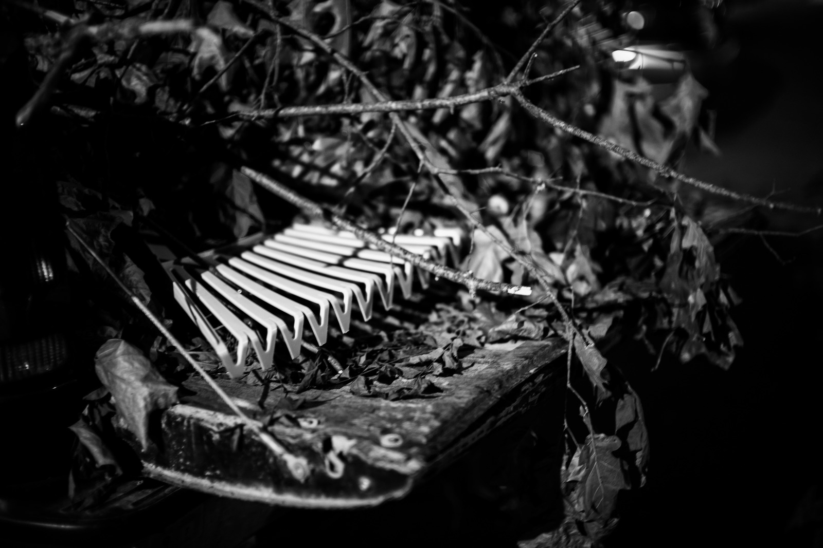 Nature's Embrace on Metal