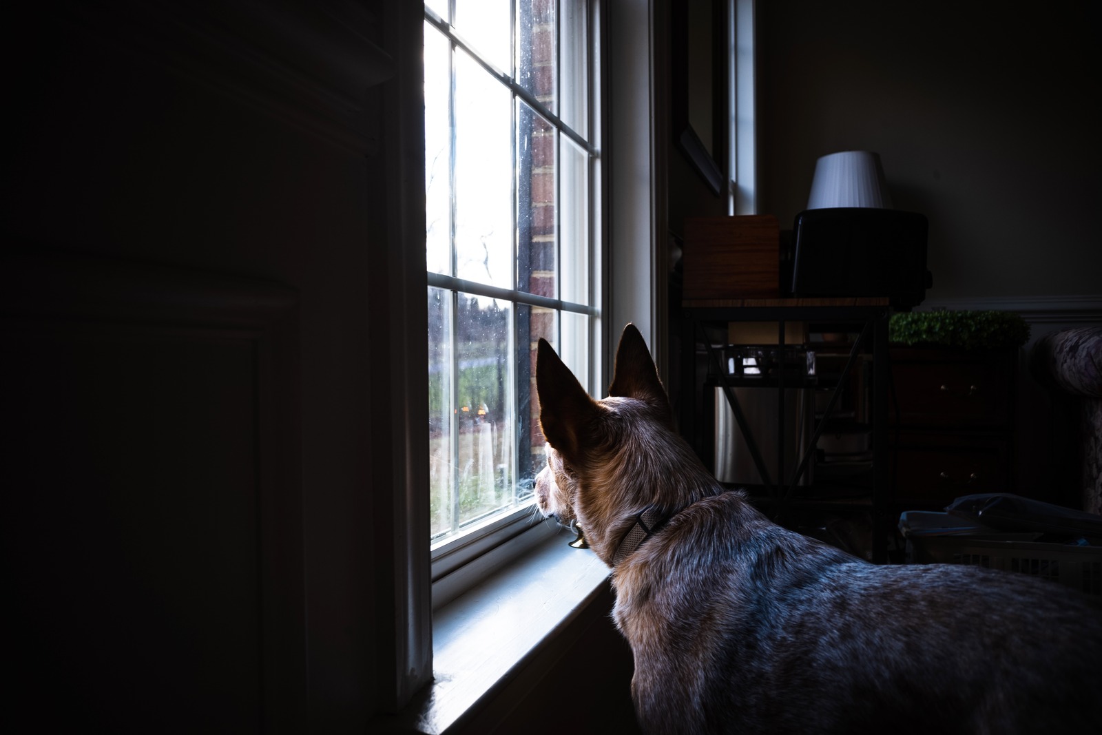 Staring into the Unknown