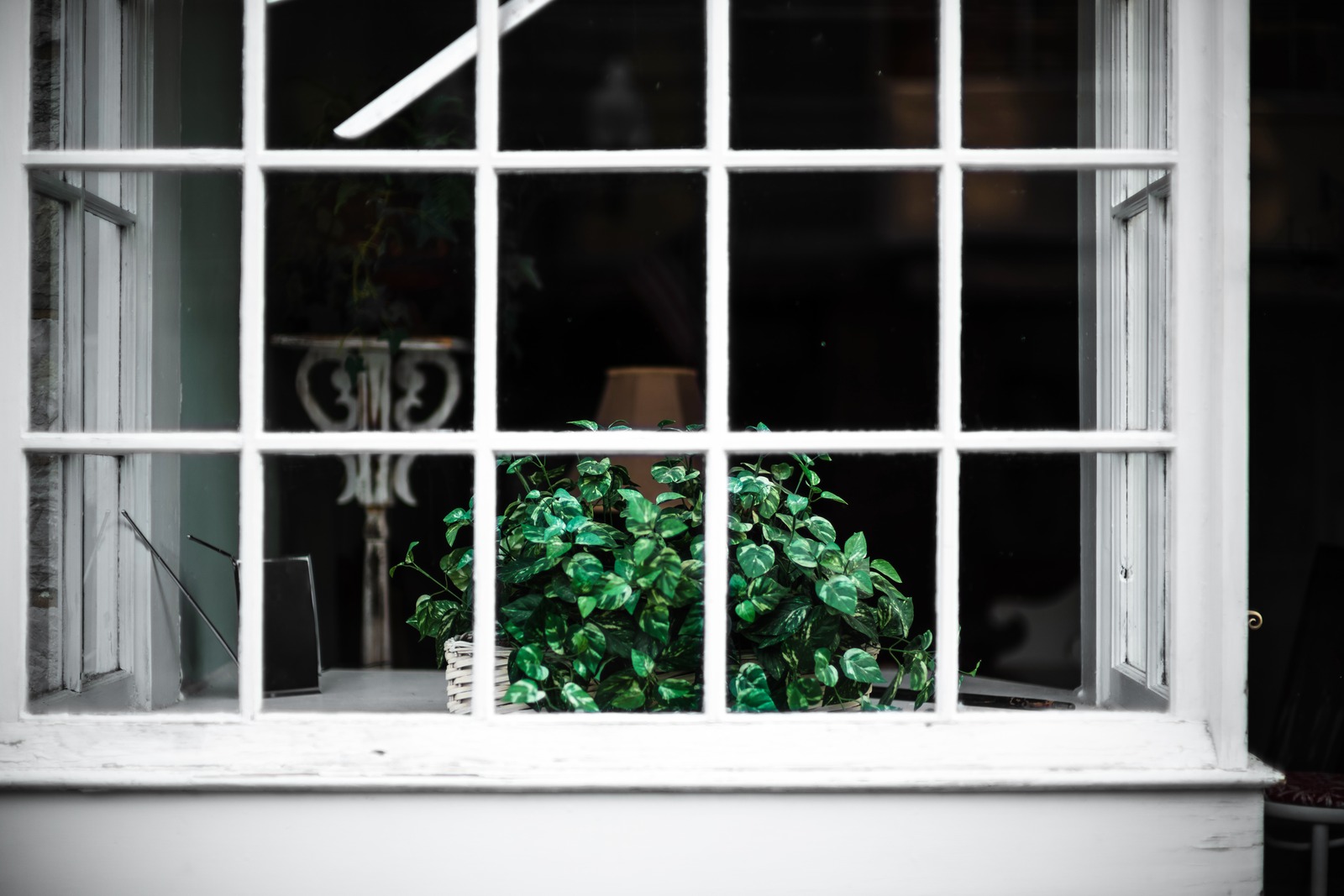 Through the Frame of Green