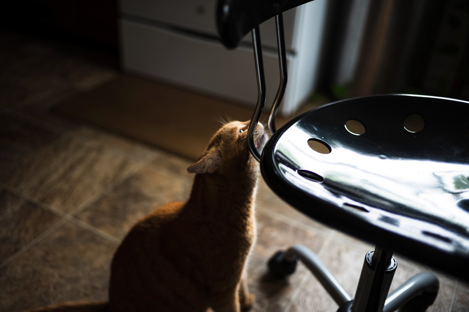 Curiosity in Shadows