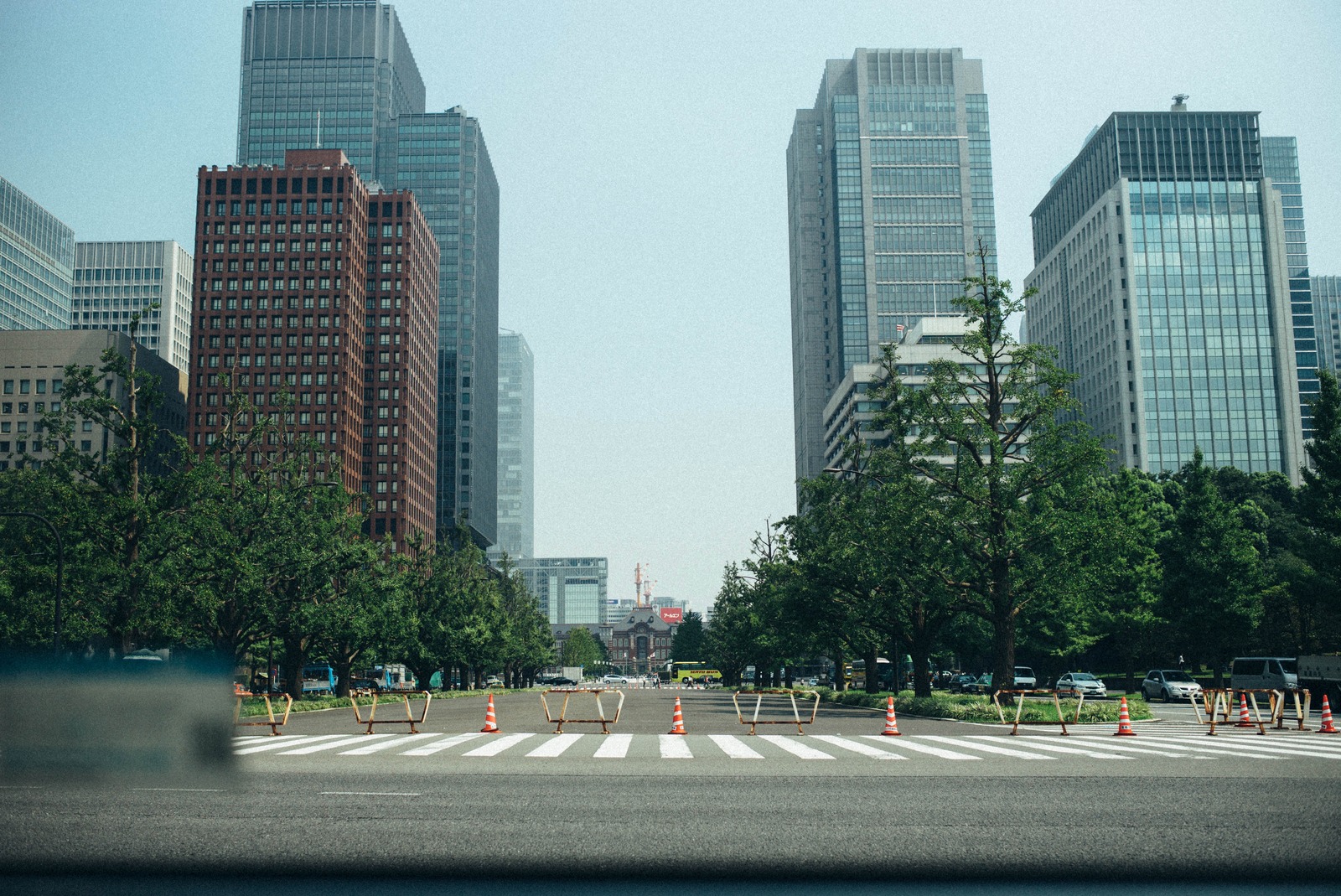 Urban Serenity in Motion