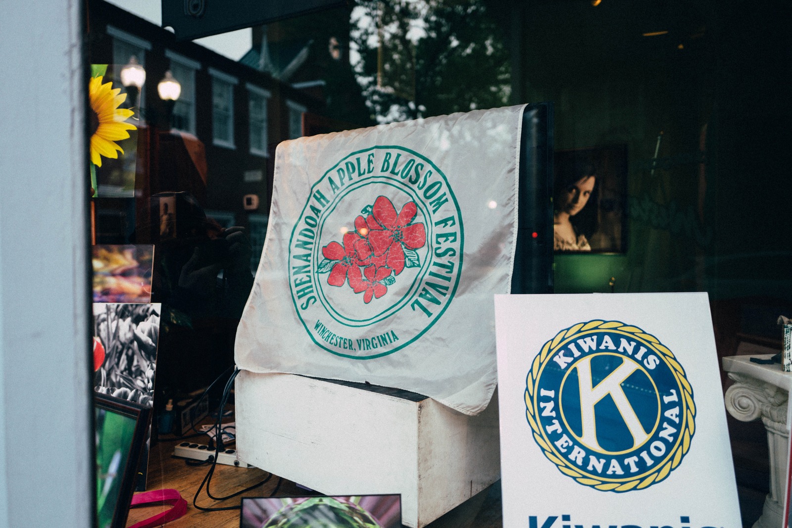 Festive Window Display