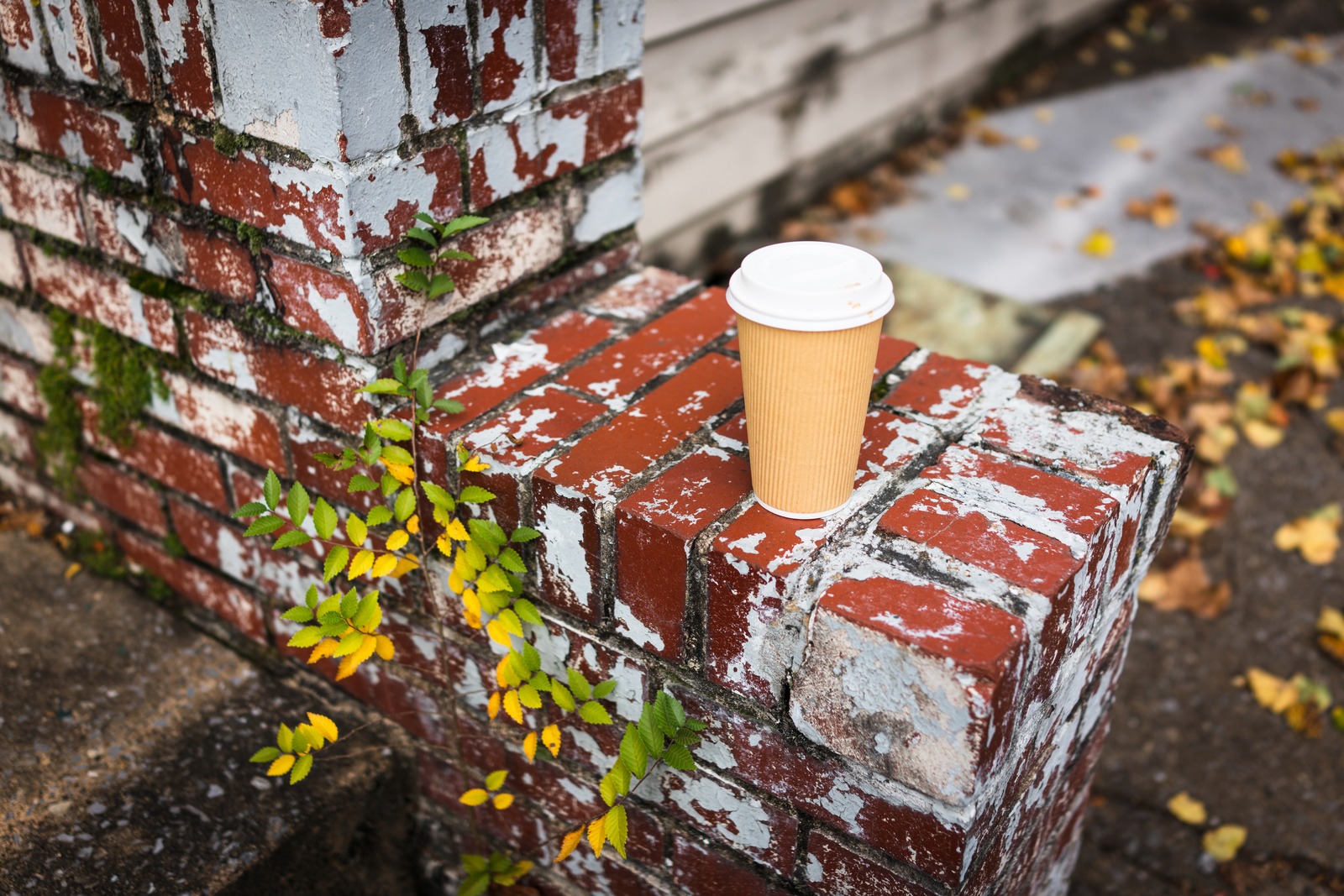 Urban Serenity: A Moment with Coffee