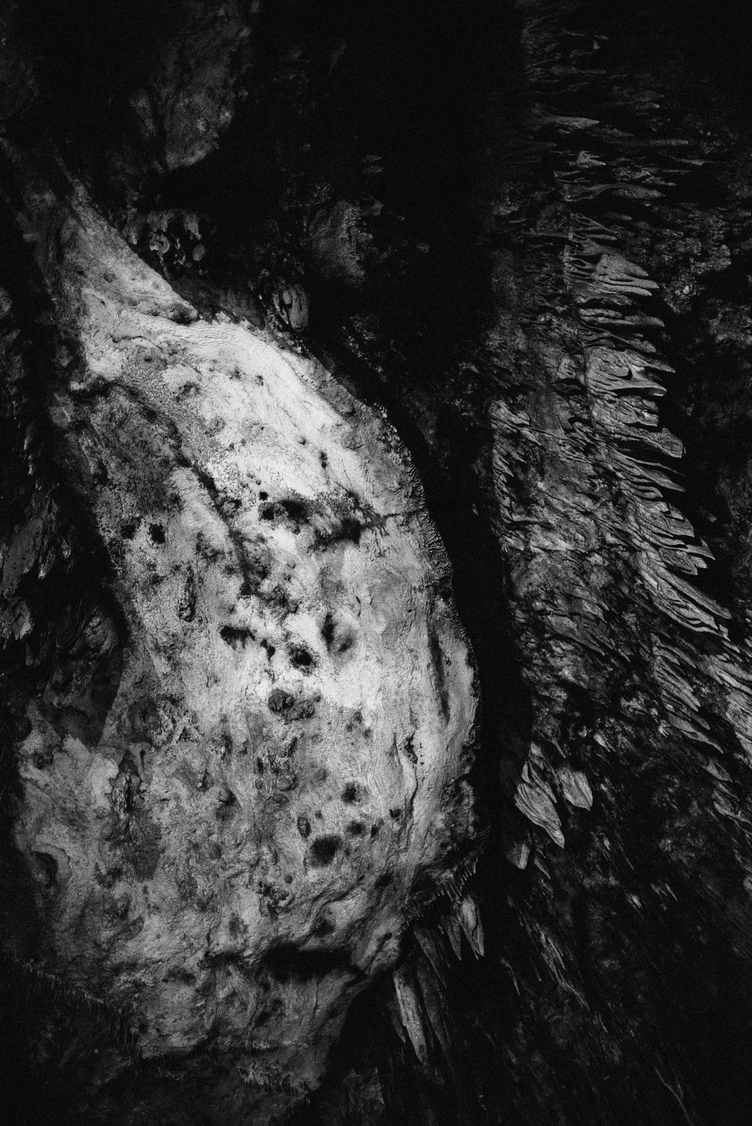 Abstract Texture of Nature