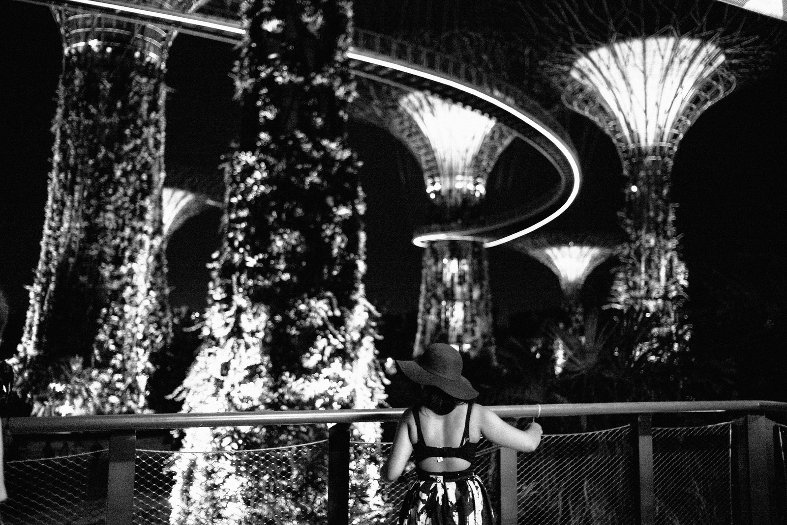 Glimmers in the Night