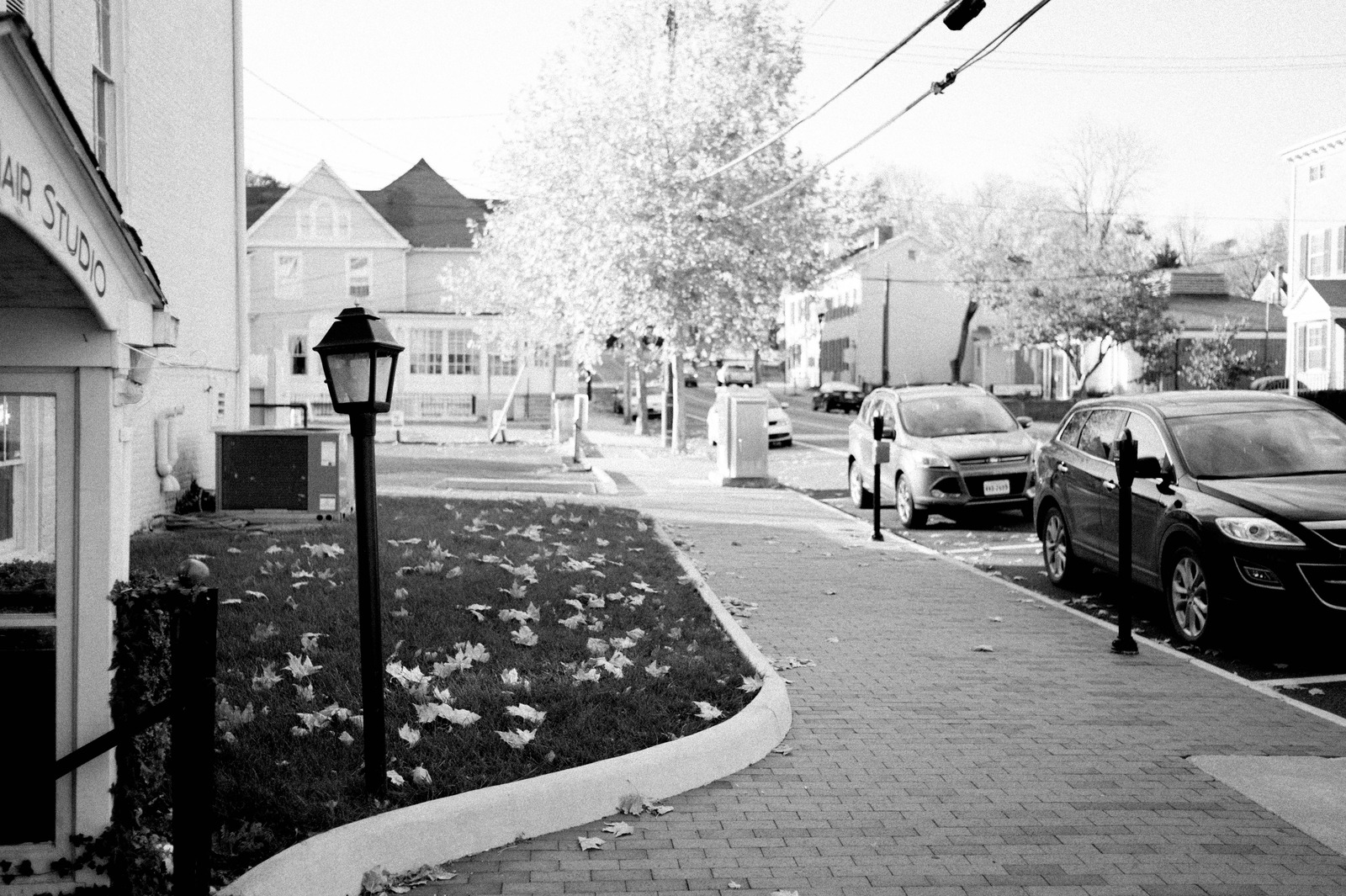 Autumn Street in Black and White