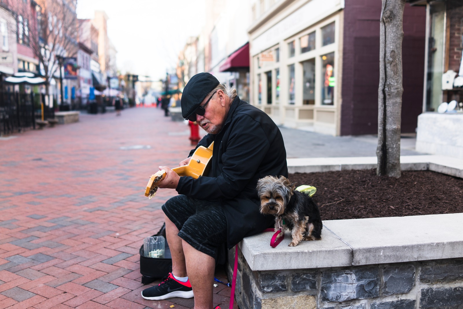 Melody of the Streets