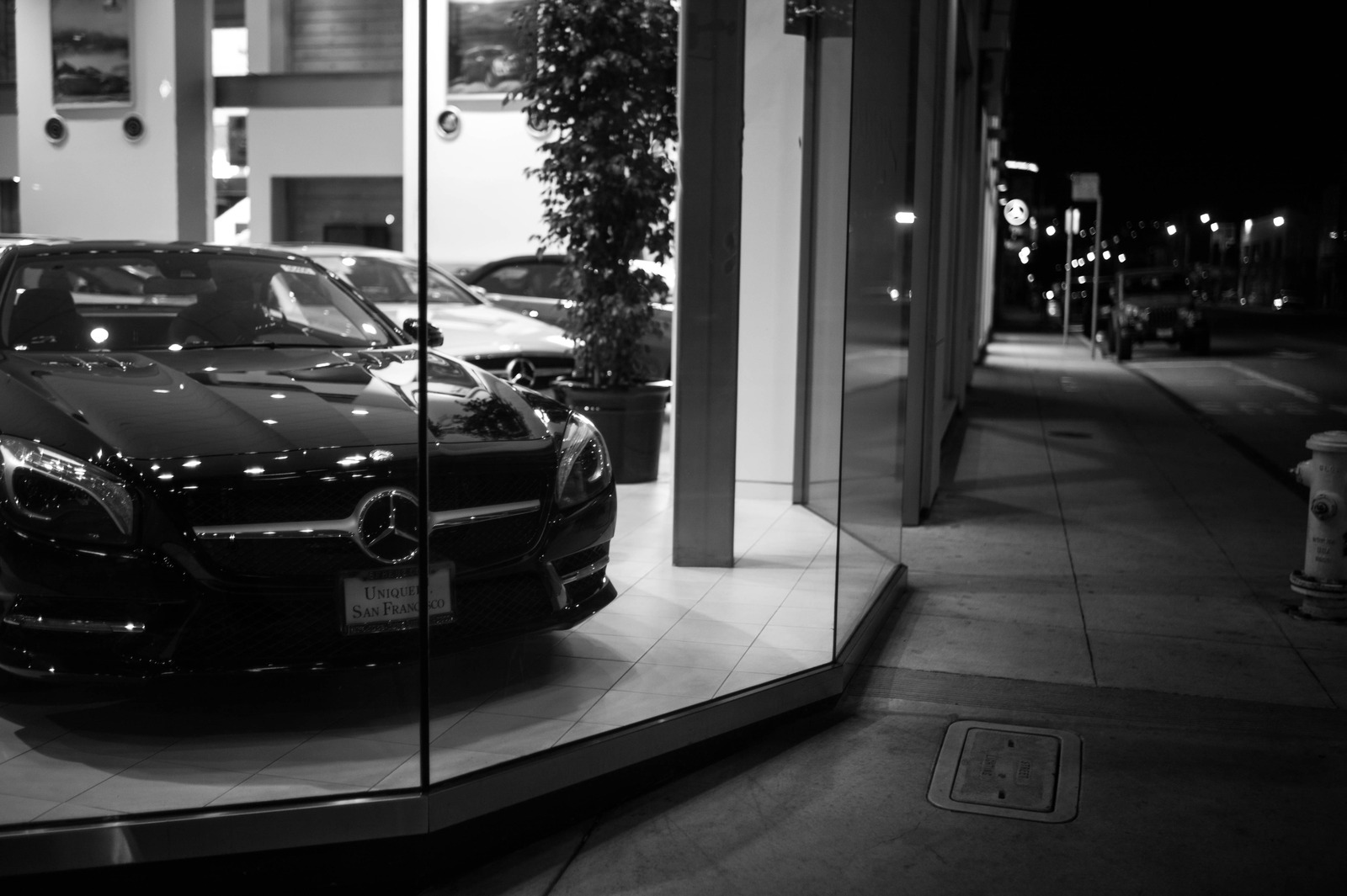 Night View of Elegance