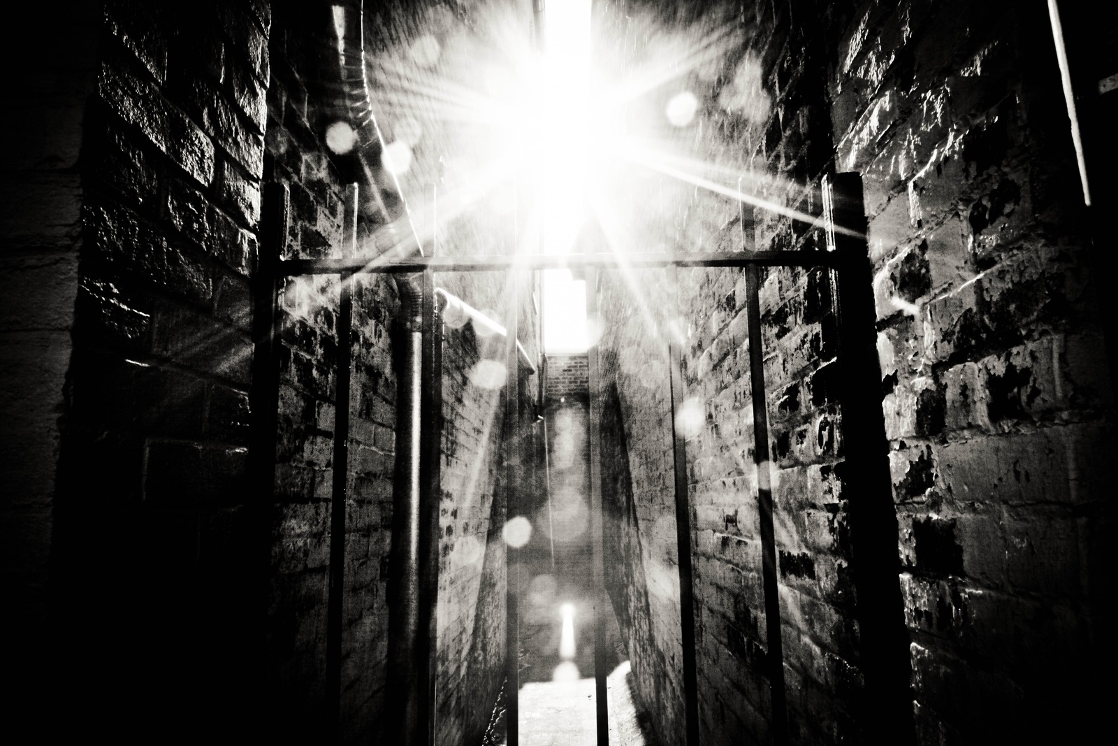 Radiance in Darkness