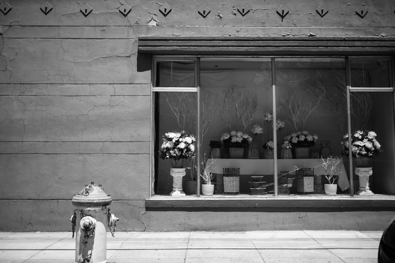 Floral Window Display