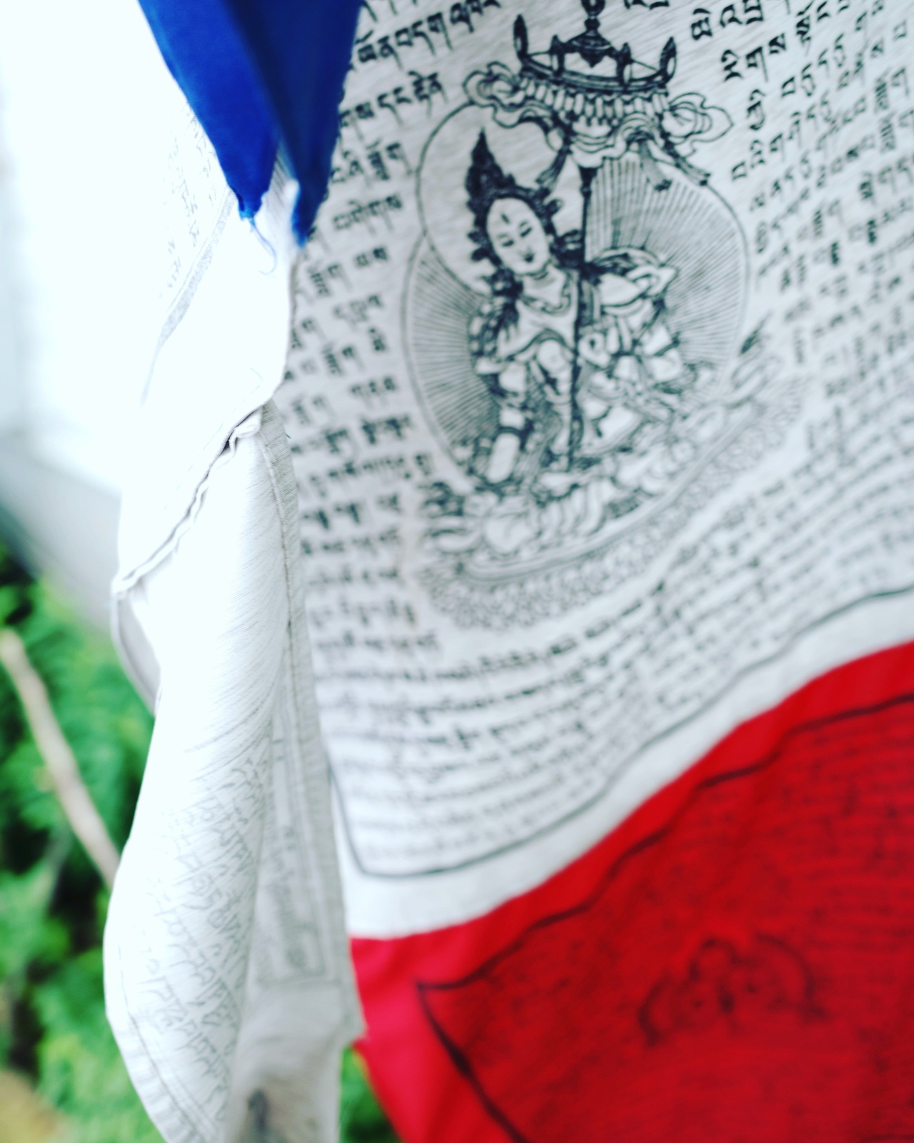 Whispers of Enlightenment