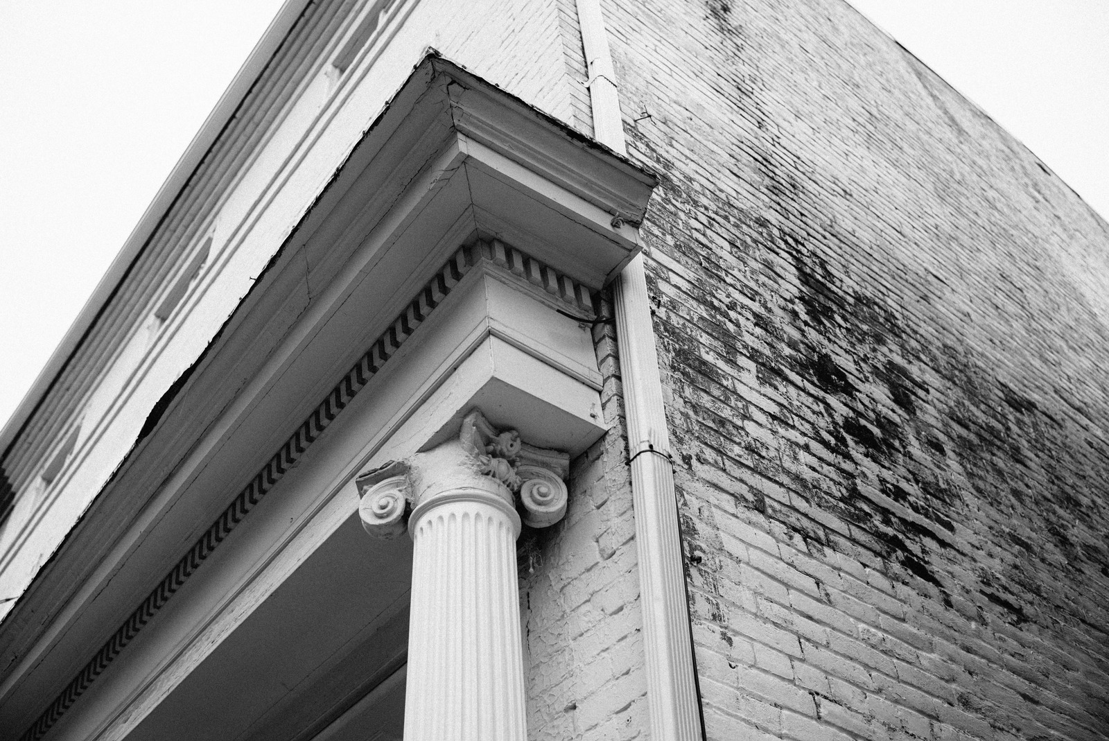 A Monochrome Whisper