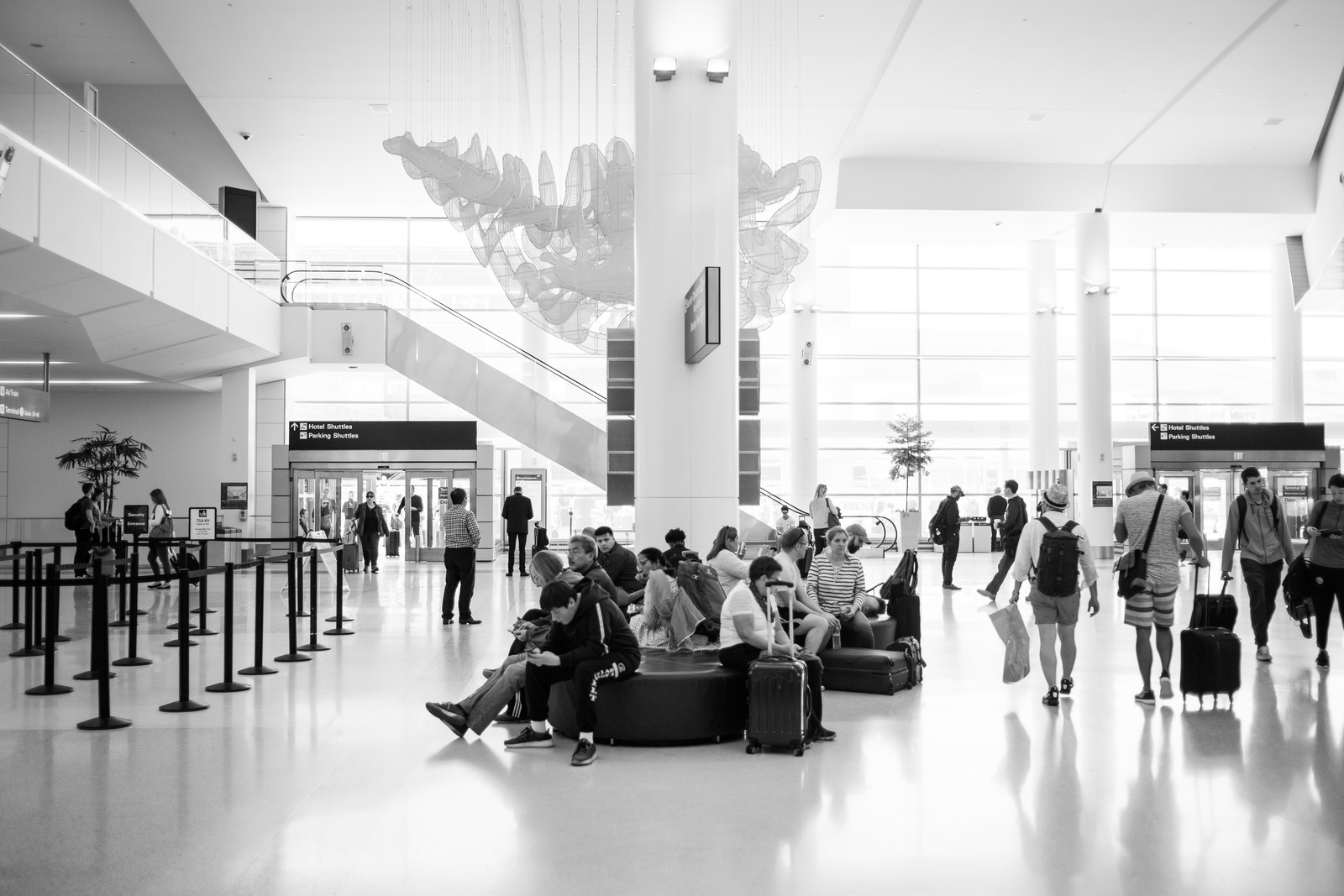 Journey in Monochrome