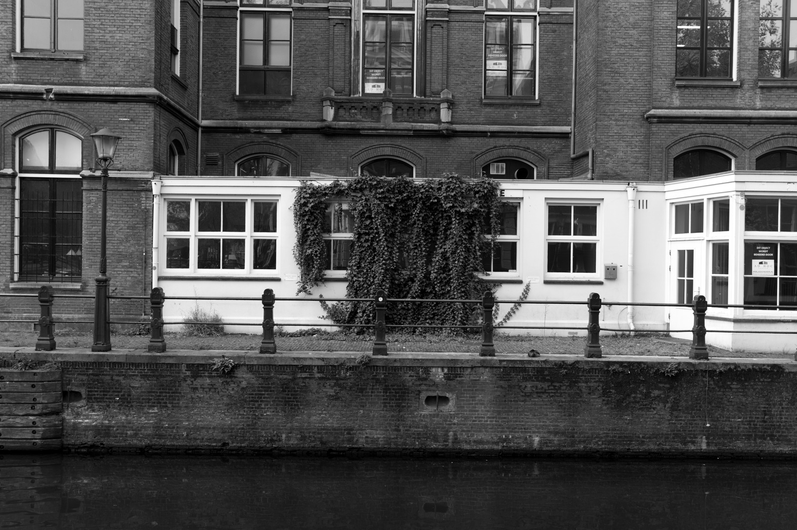 Nature Meets Architecture