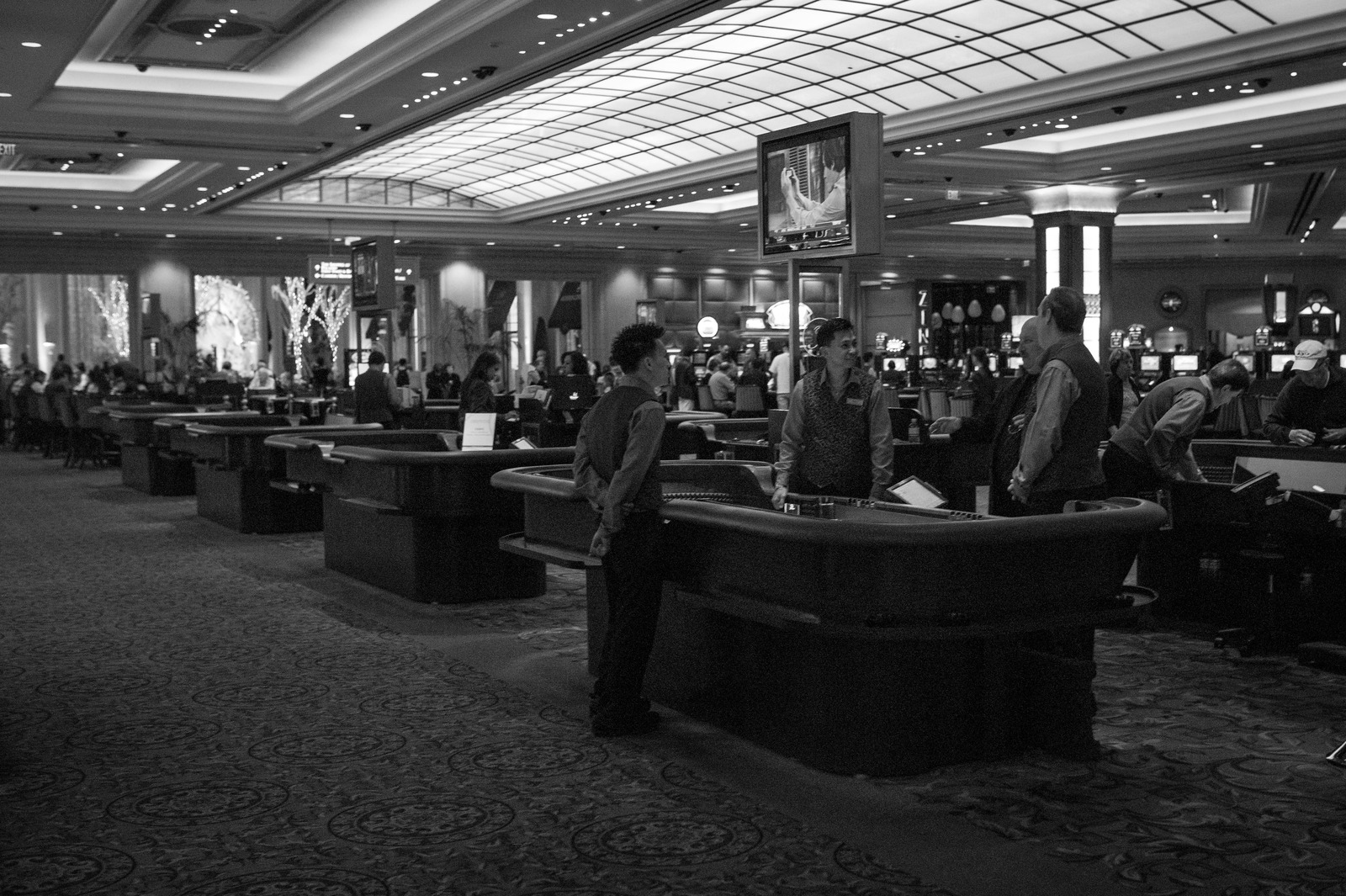 Life in Shades of Grey