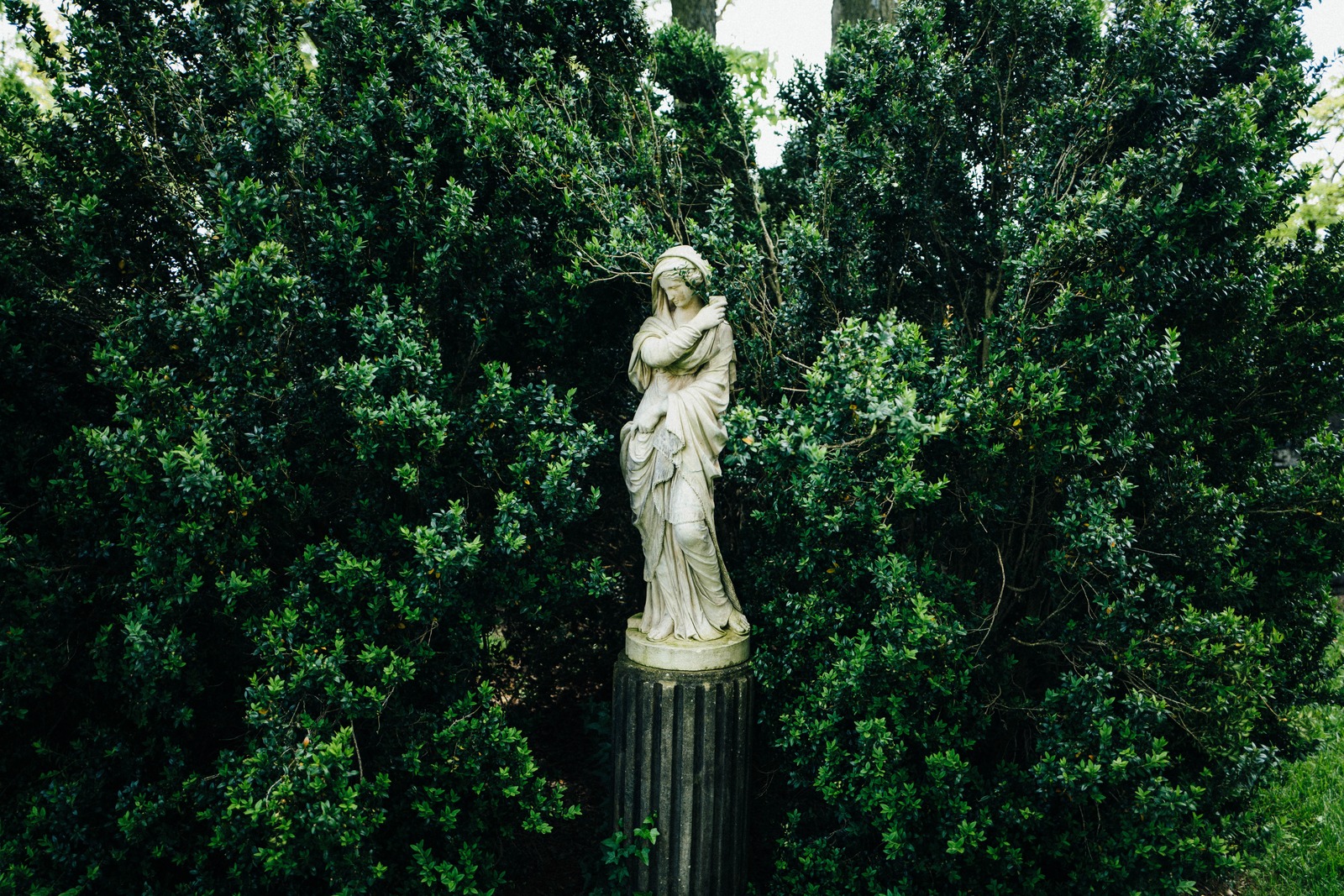 Guardian of the Grove