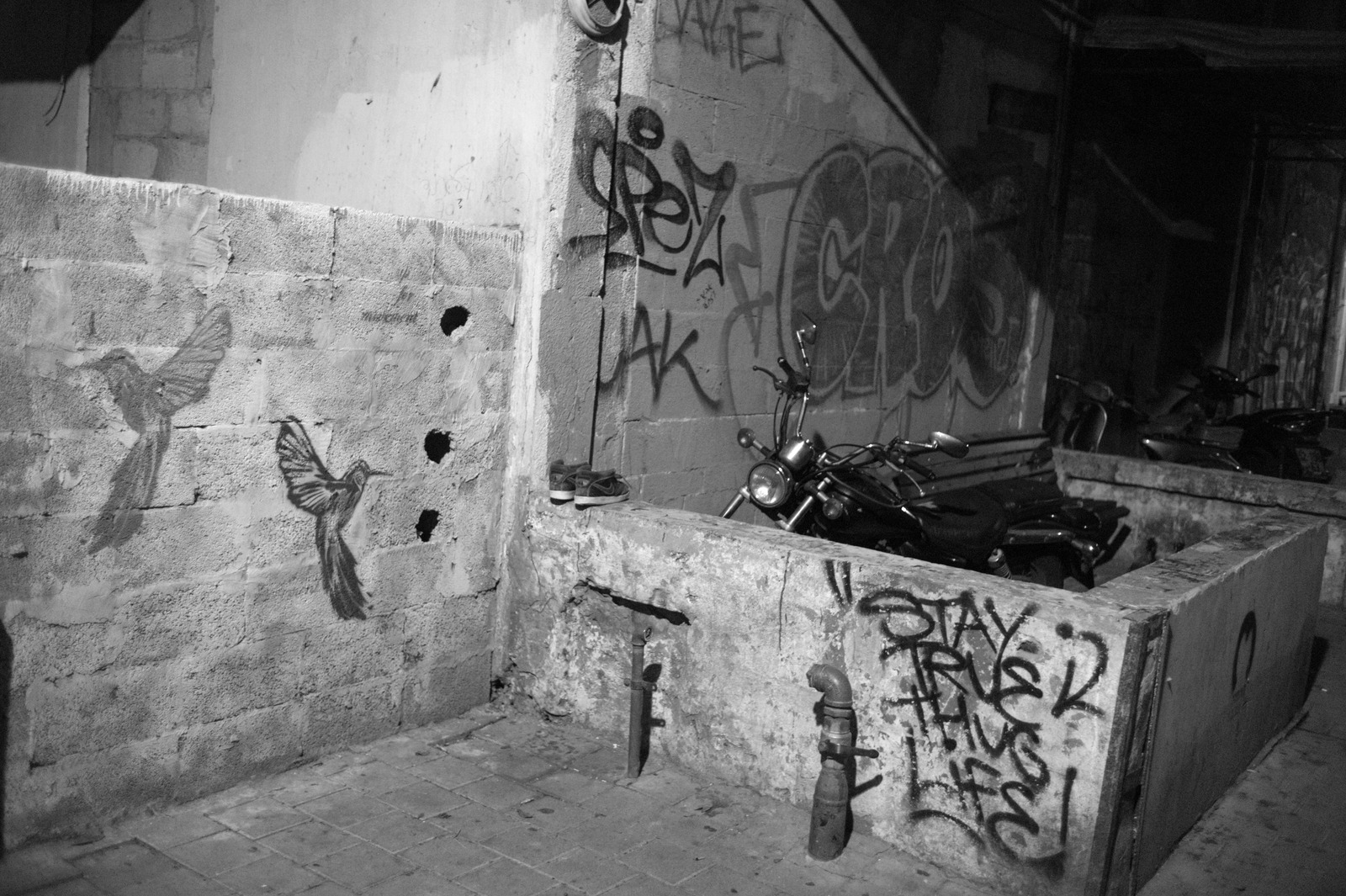 Urban Shadows and Freedom