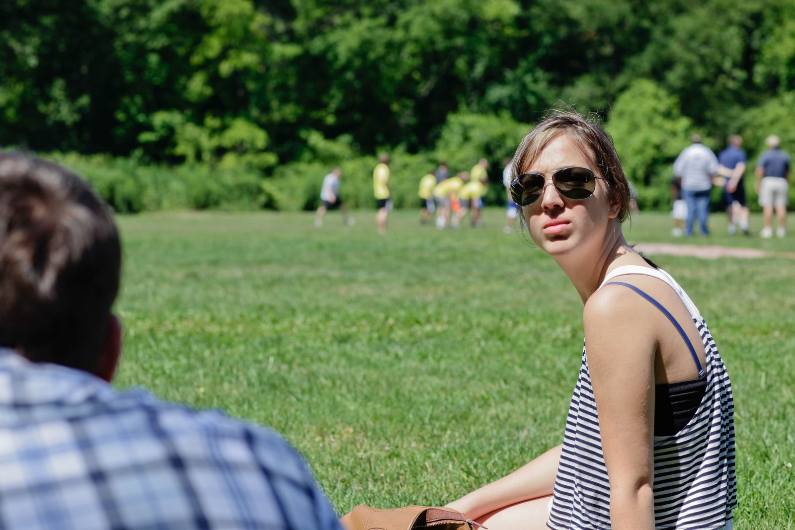 Sunny Day Reflections