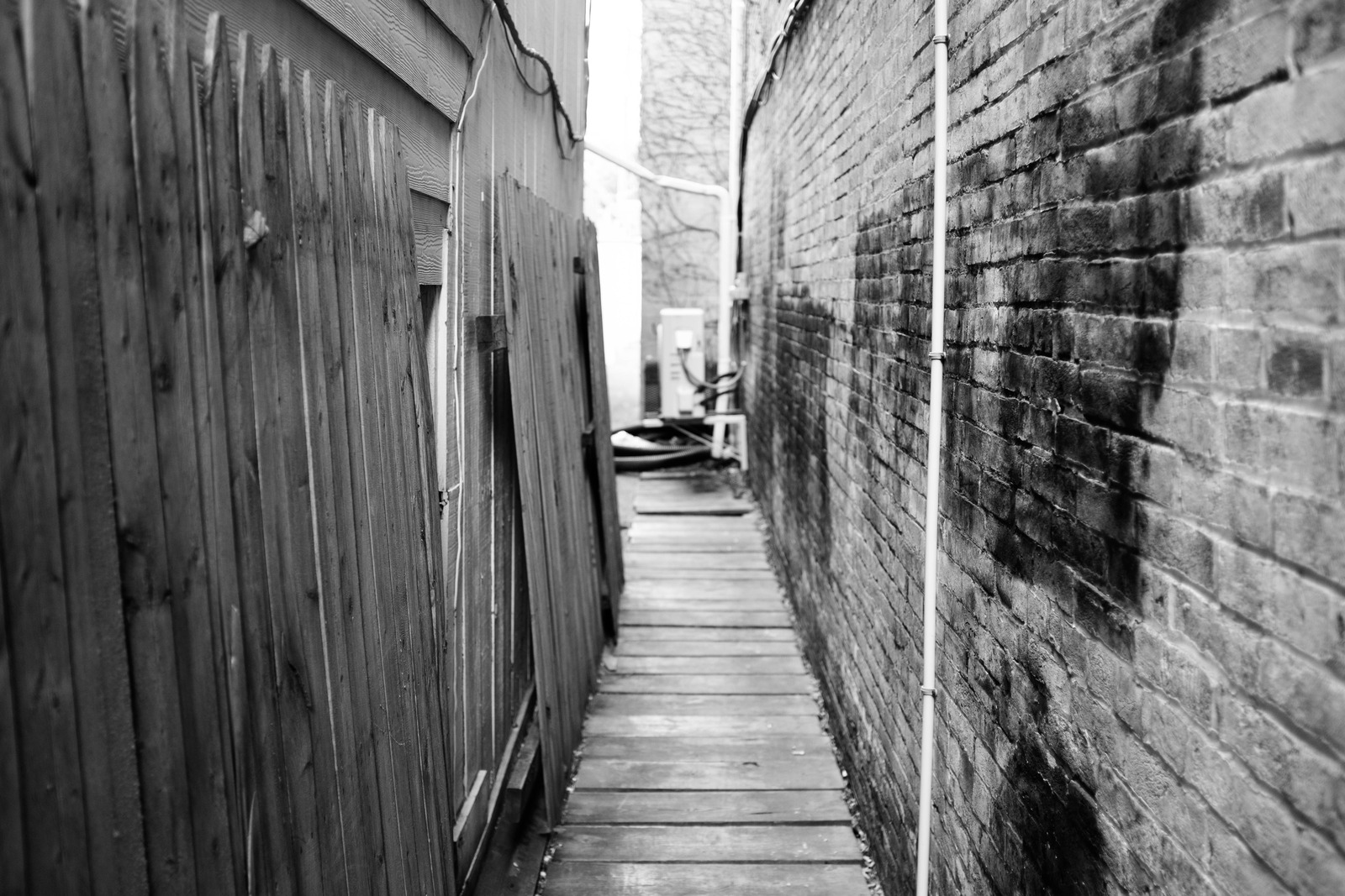 Narrow Path of Shadows