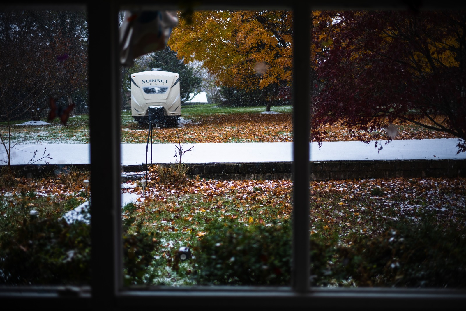 Quiet Autumn Transition