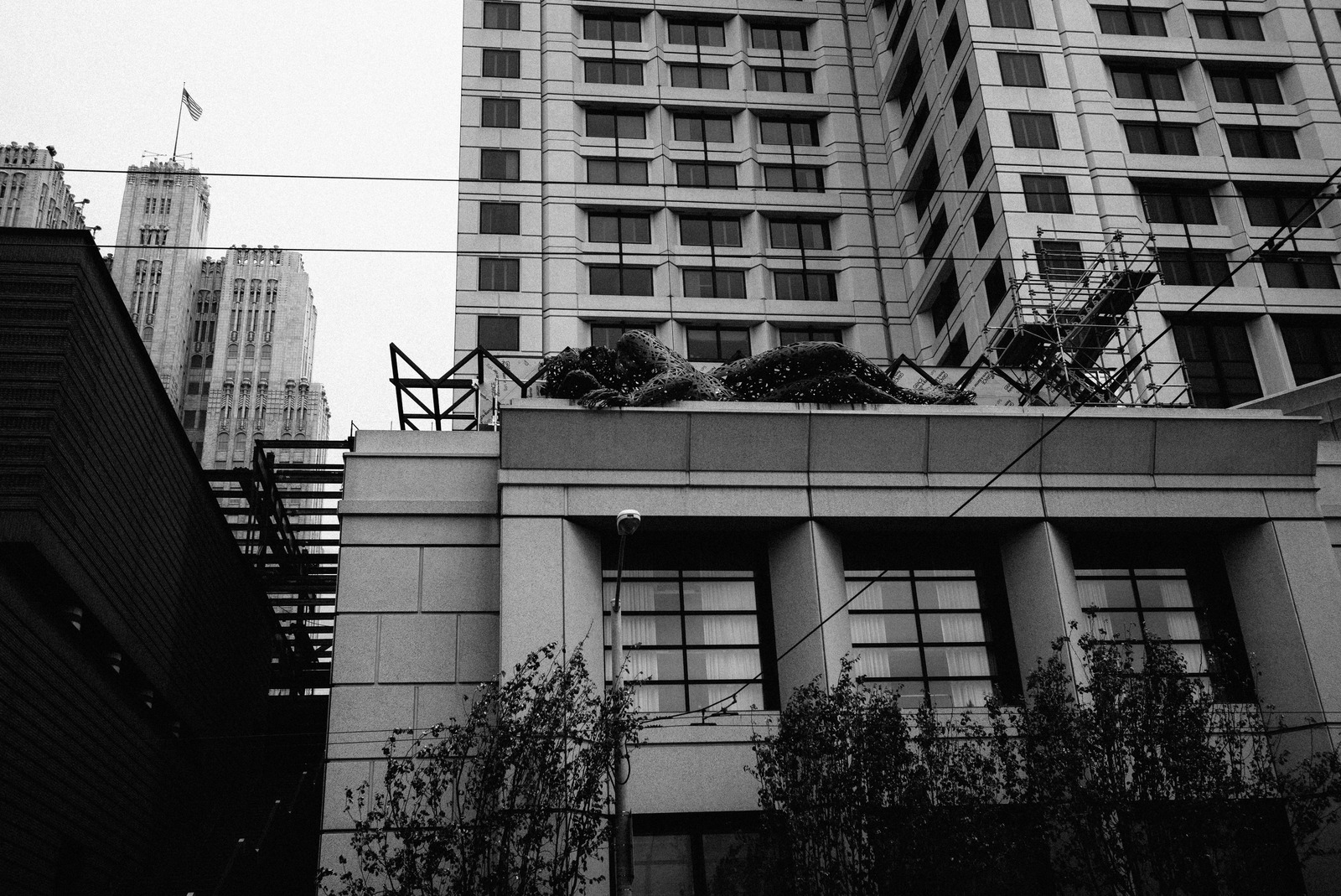 Urban Geometry in Monochrome