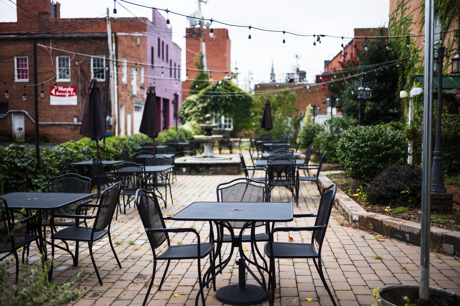 Whispers of a Quiet Cafe