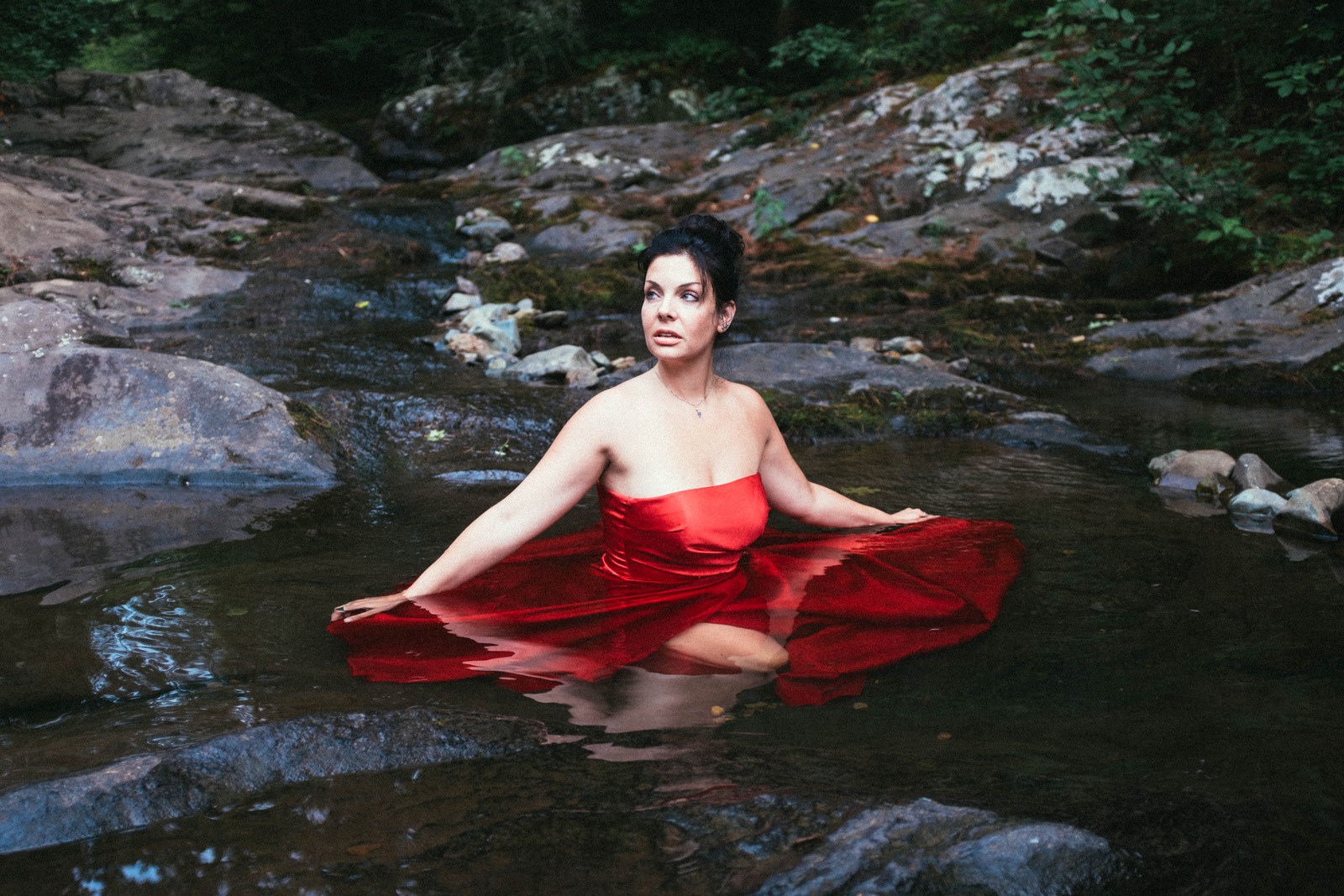 Elegance in Nature's Embrace