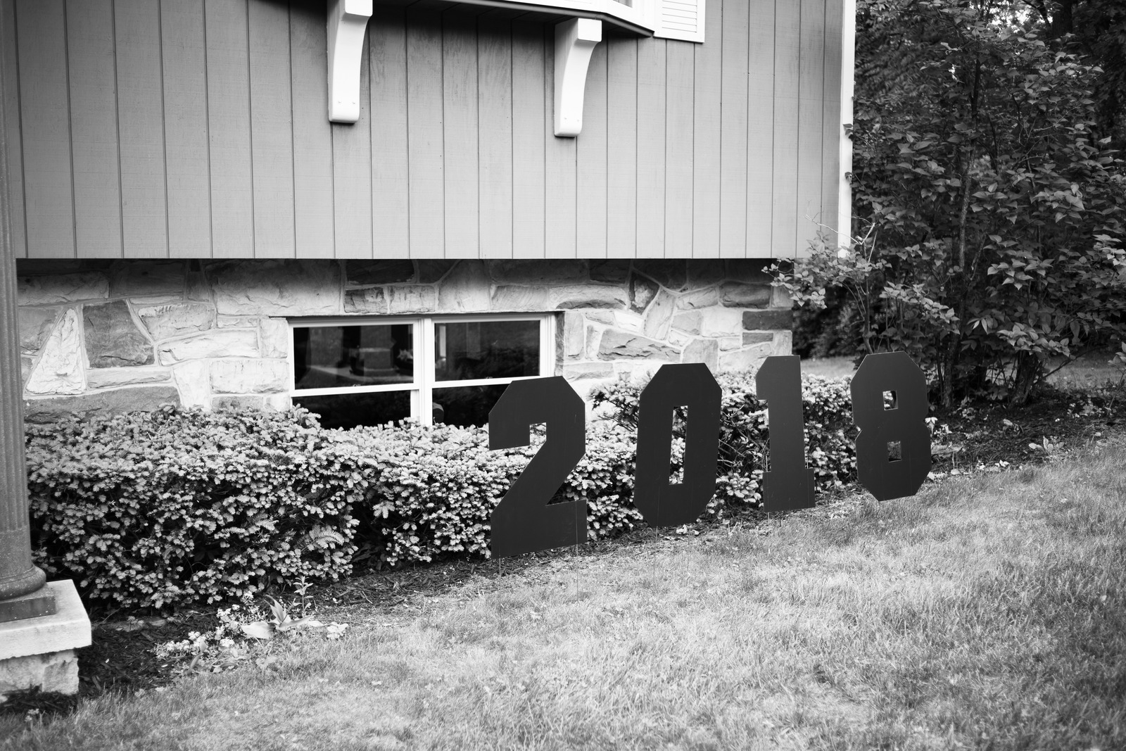 A Year Marked in Time