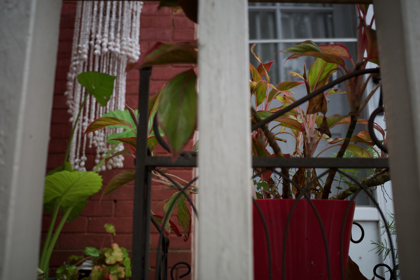 Tranquil Urban Escape