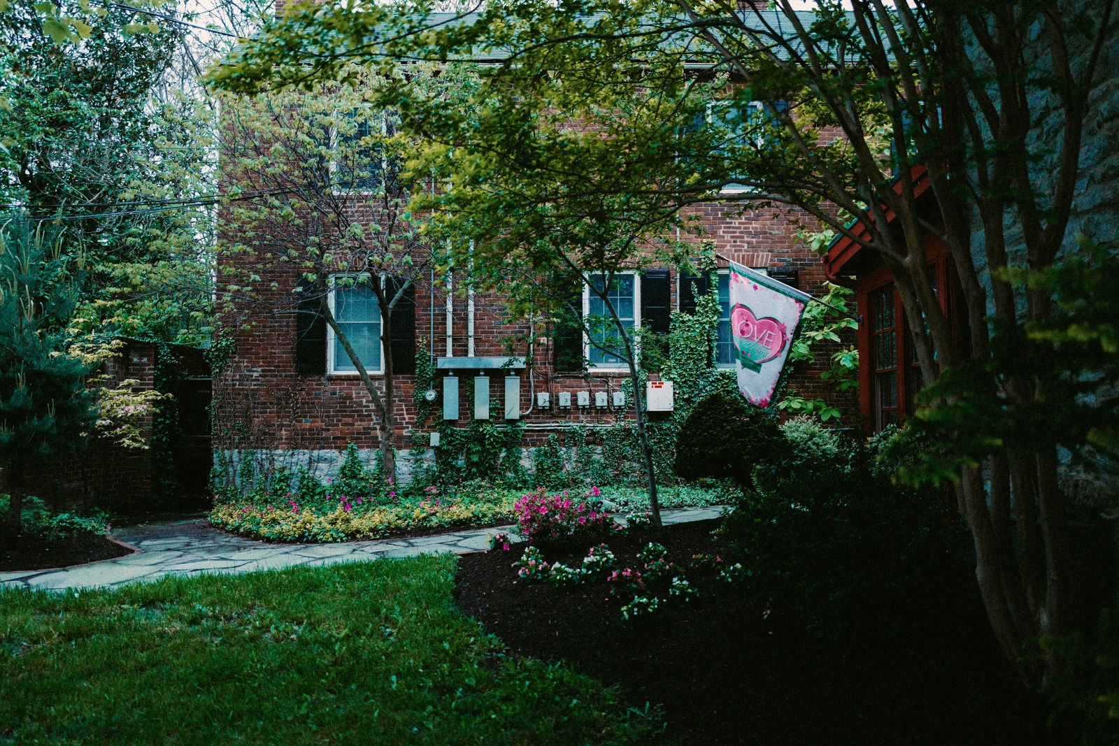 Whispers of Love in Bloom