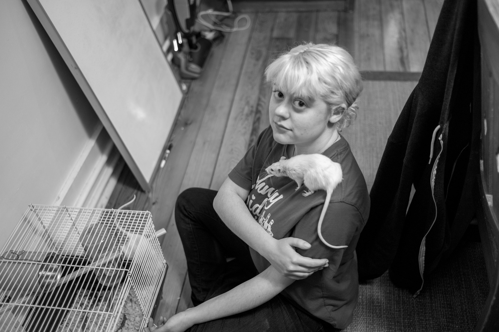 Companionship in Monochrome