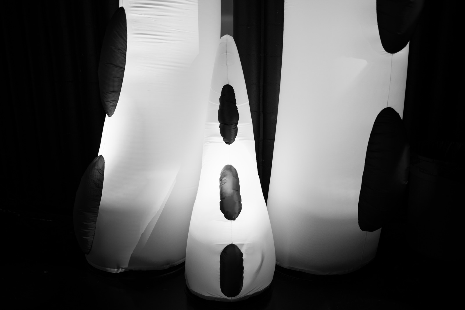 Abstract Forms in Monochrome