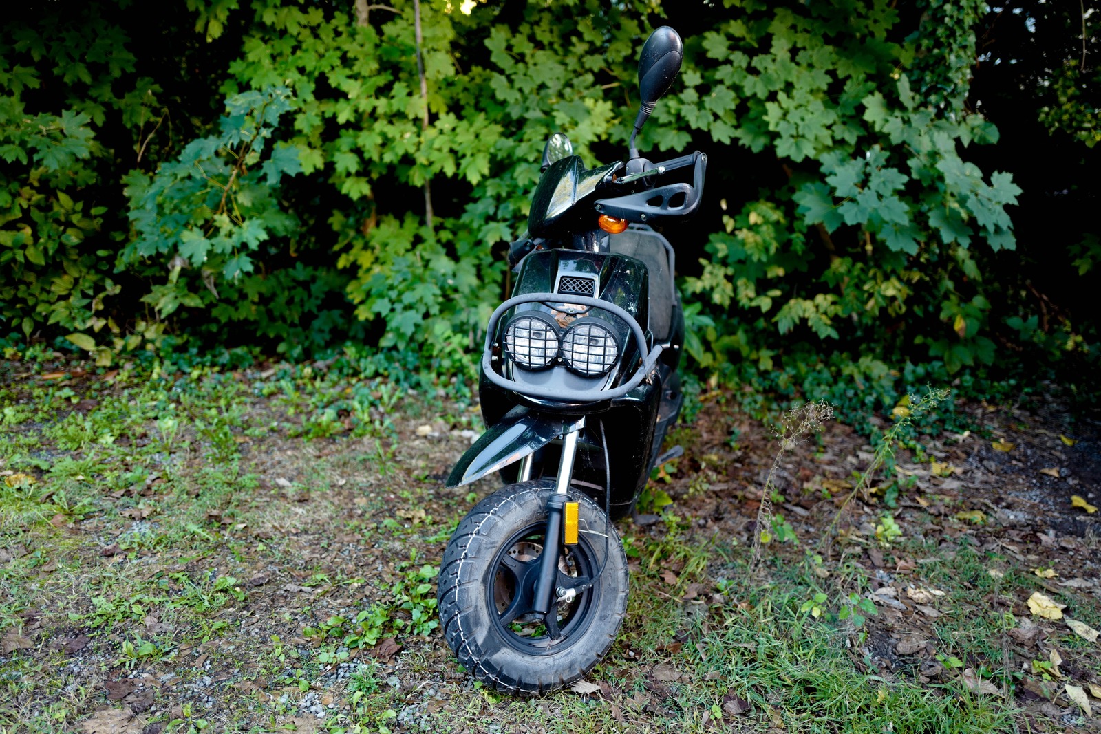 Abandoned Ride in Nature