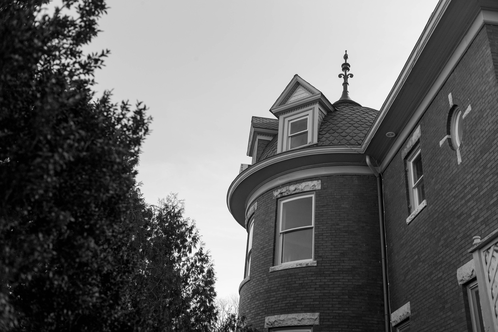 Timeless Elegance in Monochrome